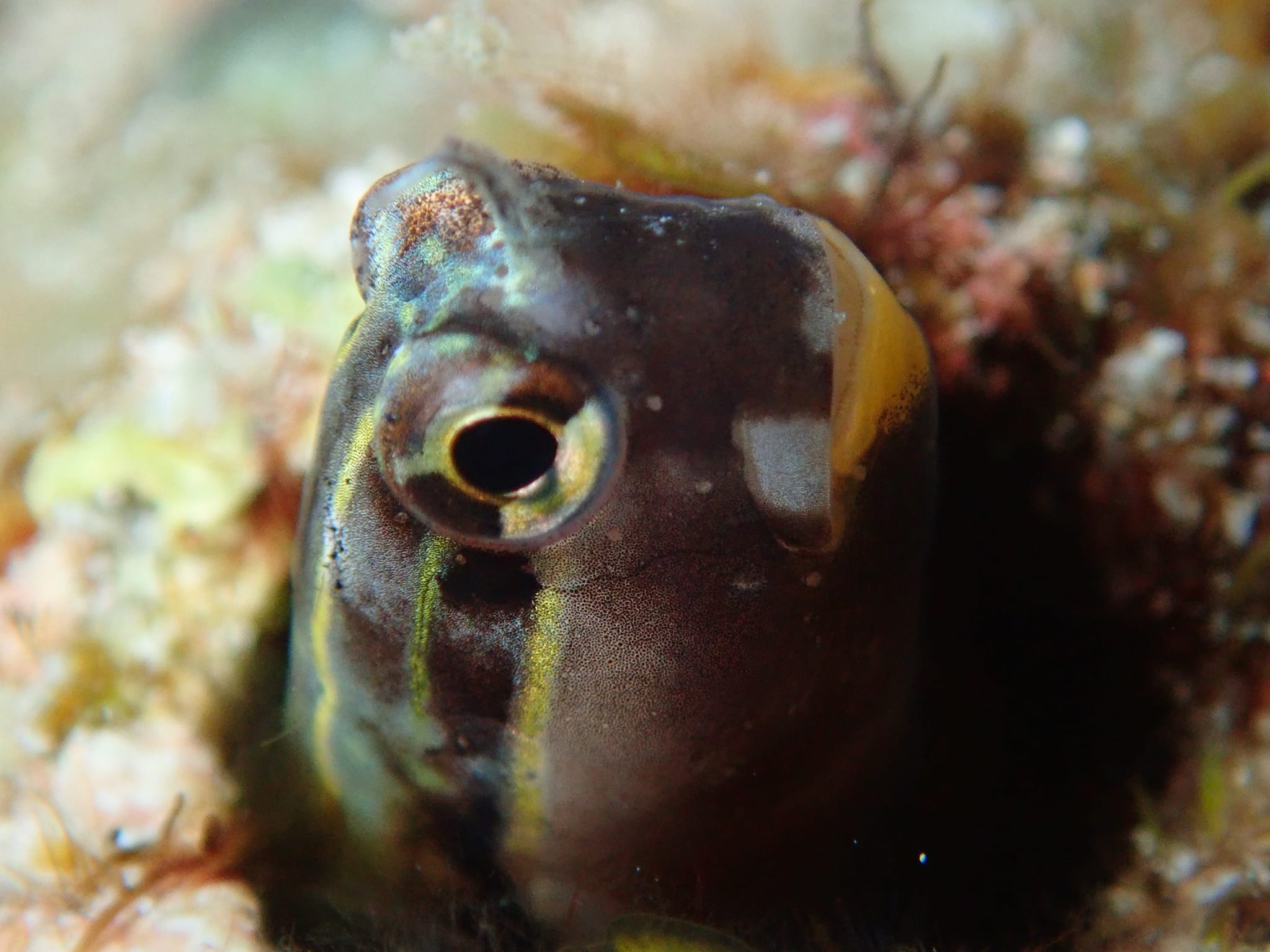 278854151_2556402287824610_1187128523125802650_n