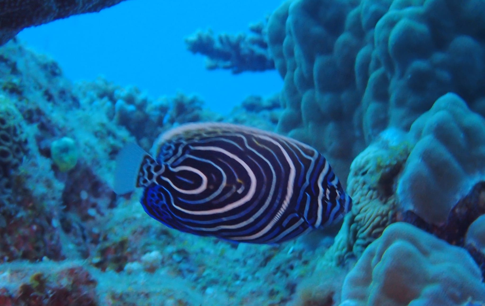 278876163_2555636554567850_4960638273753955395_n