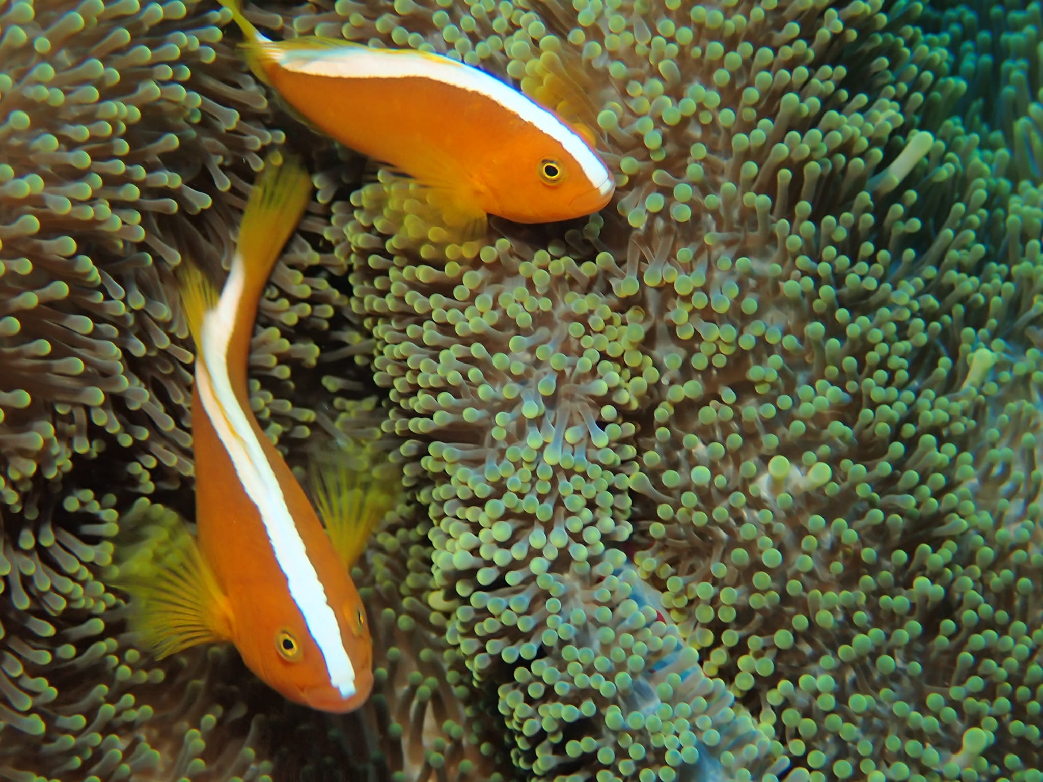 278880207_2555636564567849_8973889092068164170_n