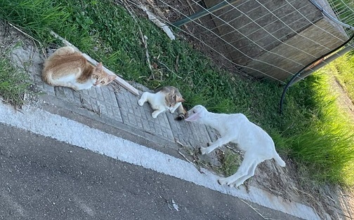 278925359_2553667164764789_2413257468501318143_n