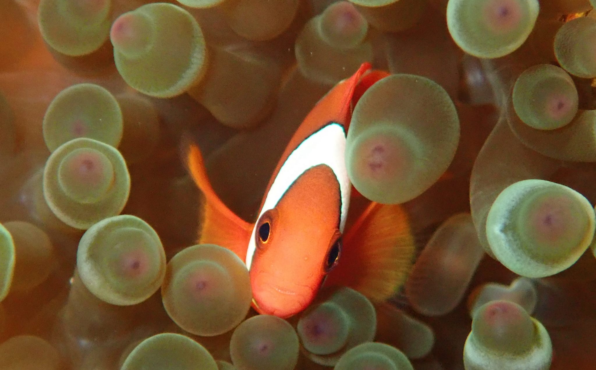 278942600_2555636581234514_311389050994587559_n