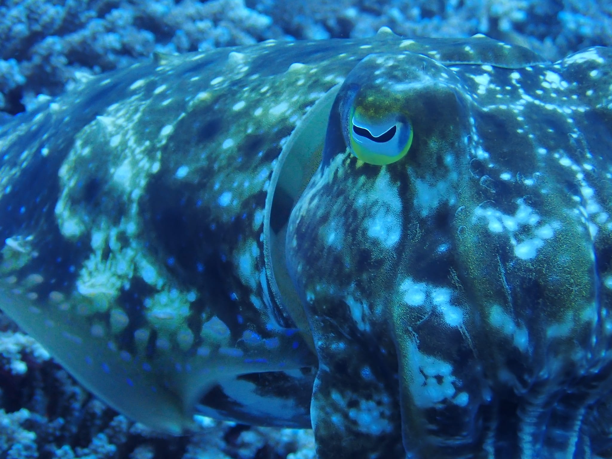 278980273_2559051540893018_2538584058399256885_n