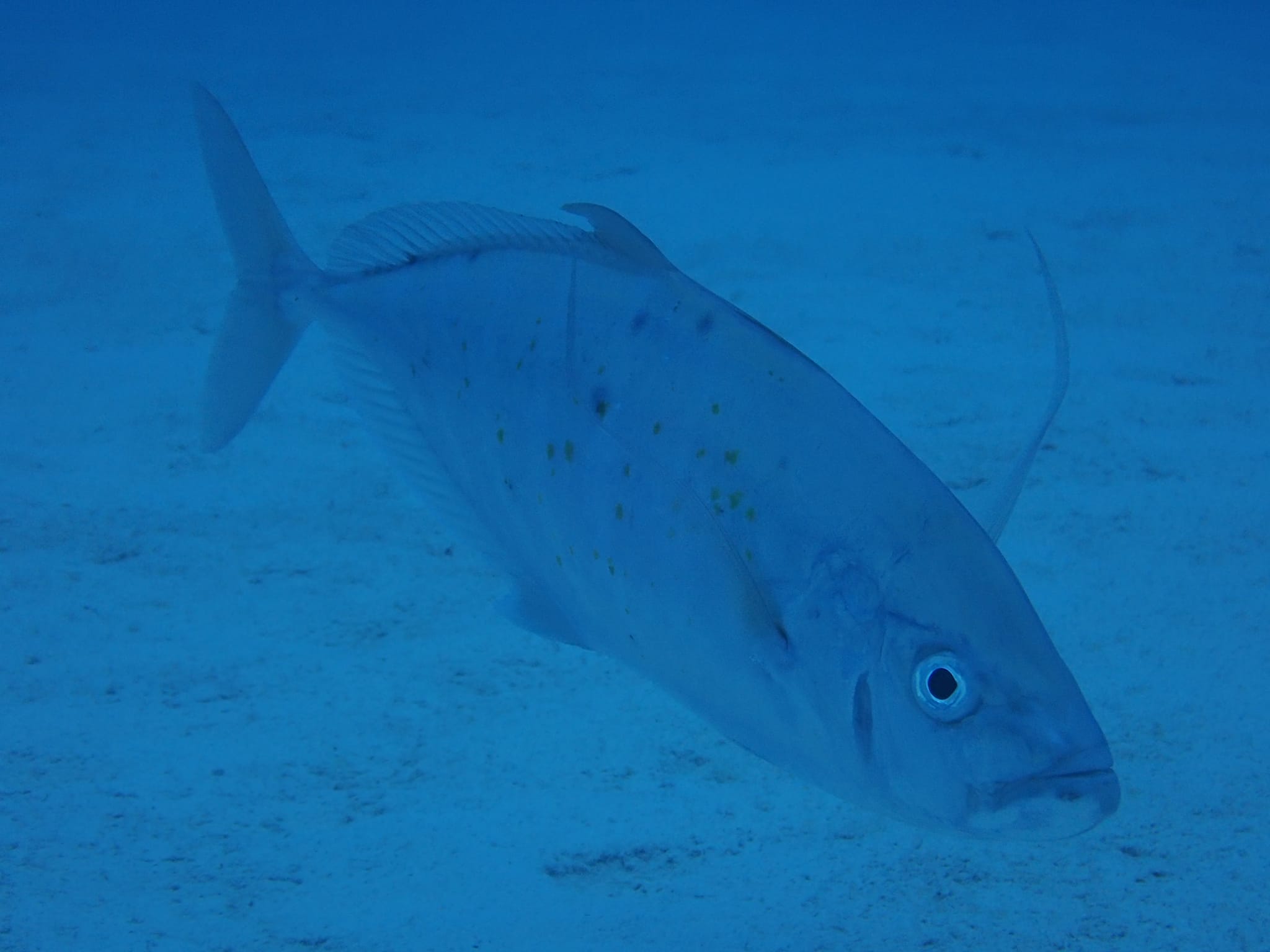 279024679_2557400011058171_2820310570273513644_n