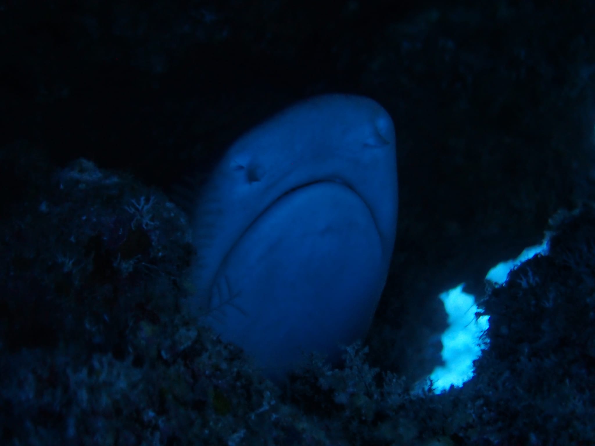 279031569_2559081397556699_3176504193498075188_n