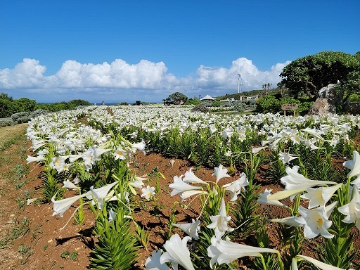 279080453_2553667151431457_1798398142840013388_n