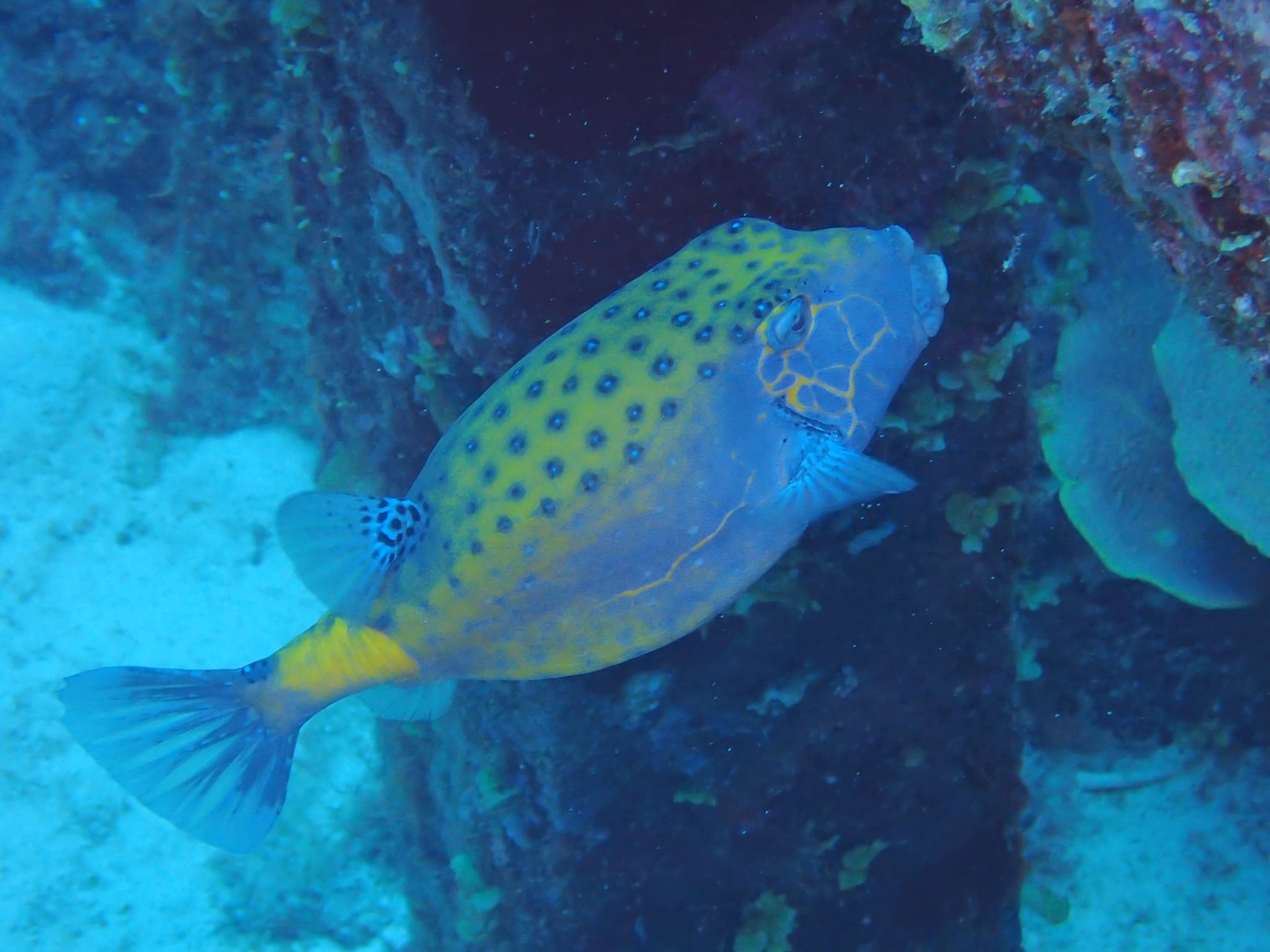 279172526_2557399987724840_6630483894821665474_n