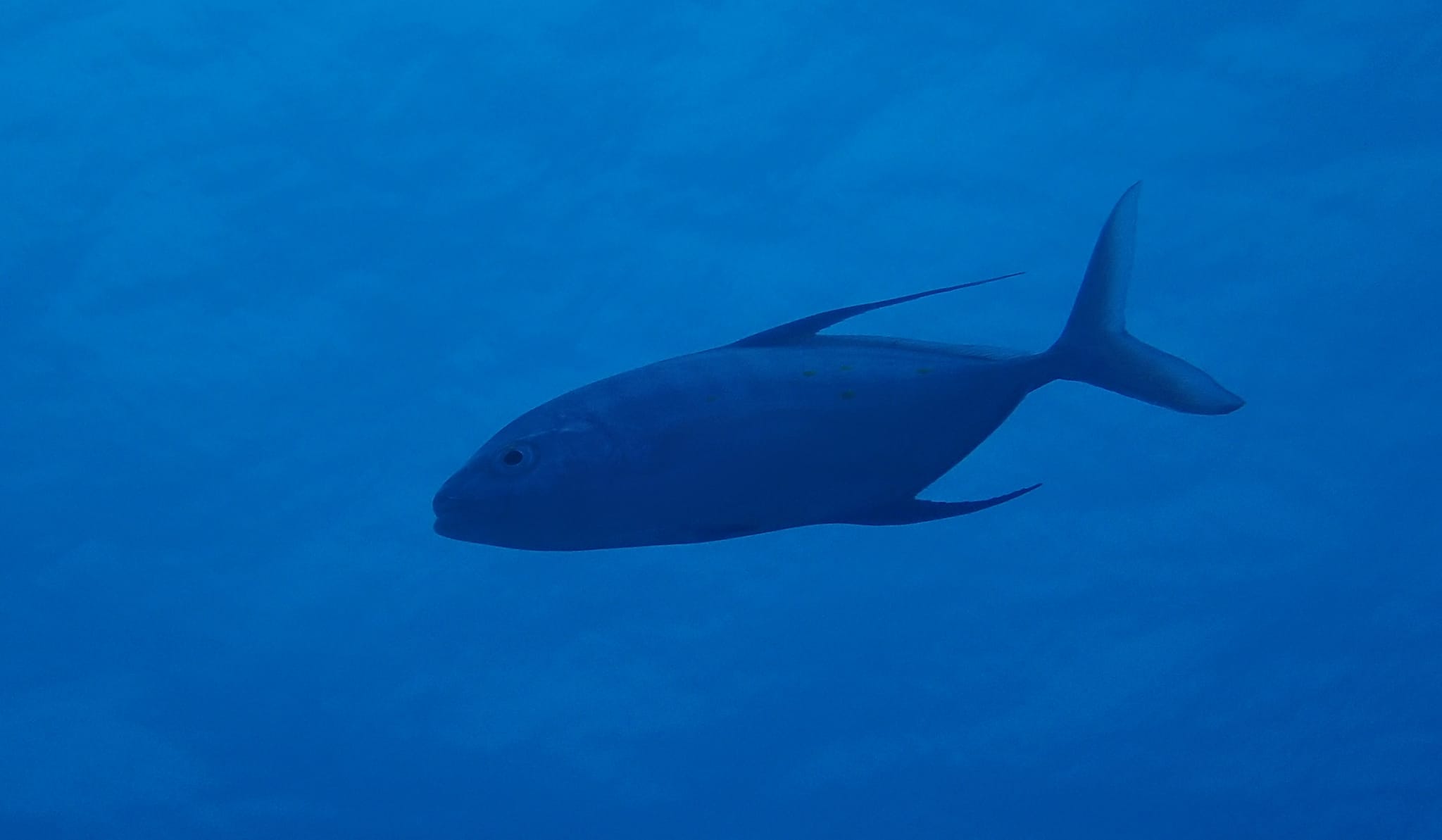 279229590_2557400344391471_4175573443707888442_n