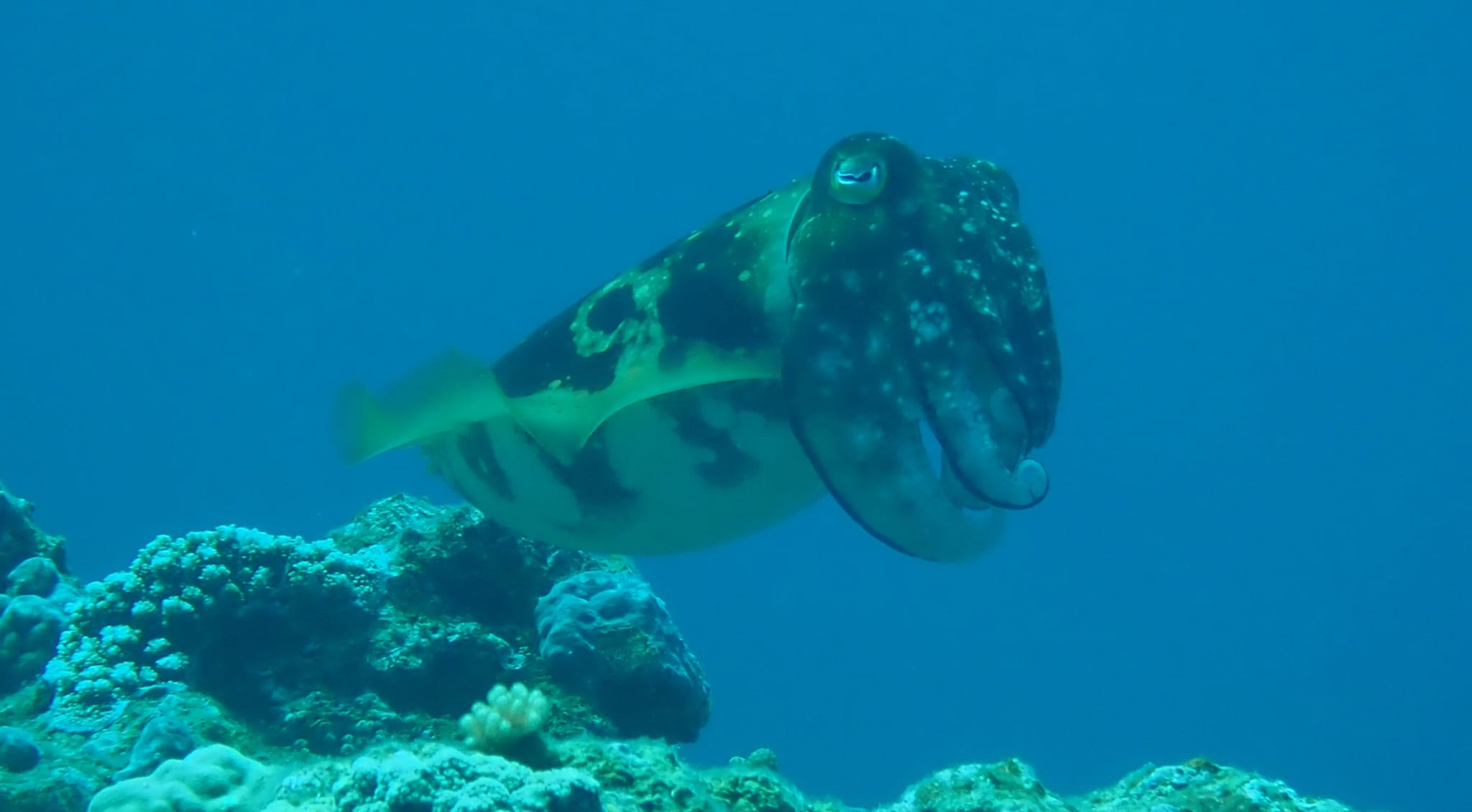 279379686_2557399921058180_8822953781576895600_n (1)