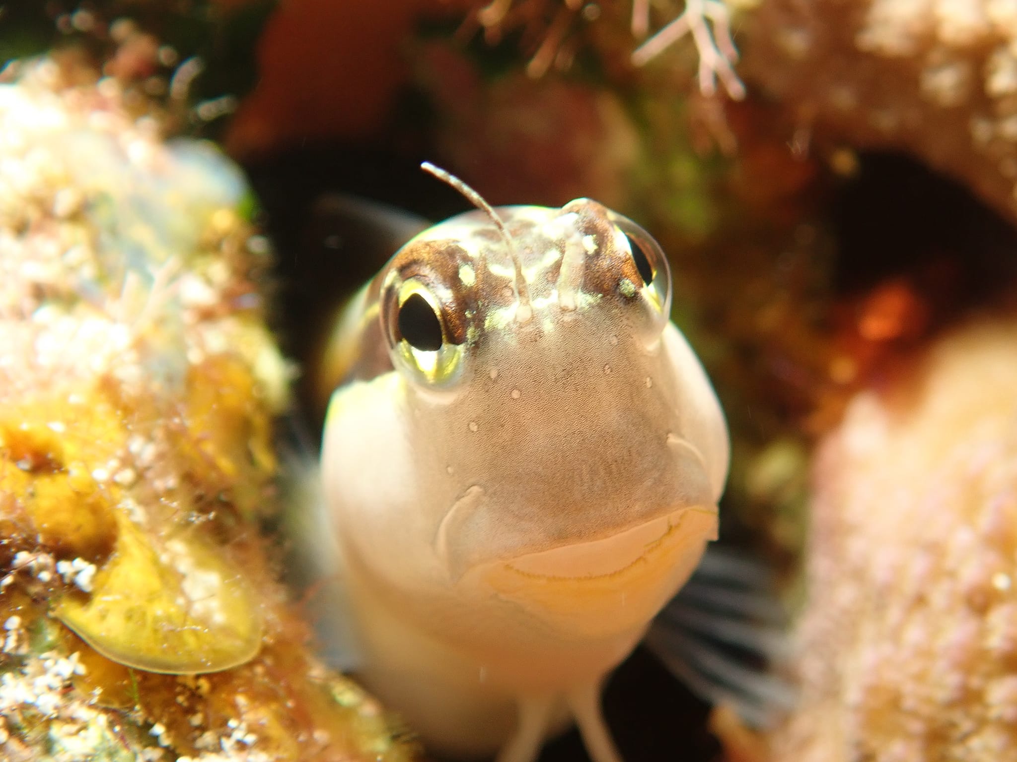 279395336_2560103670787805_6343012976540190937_n