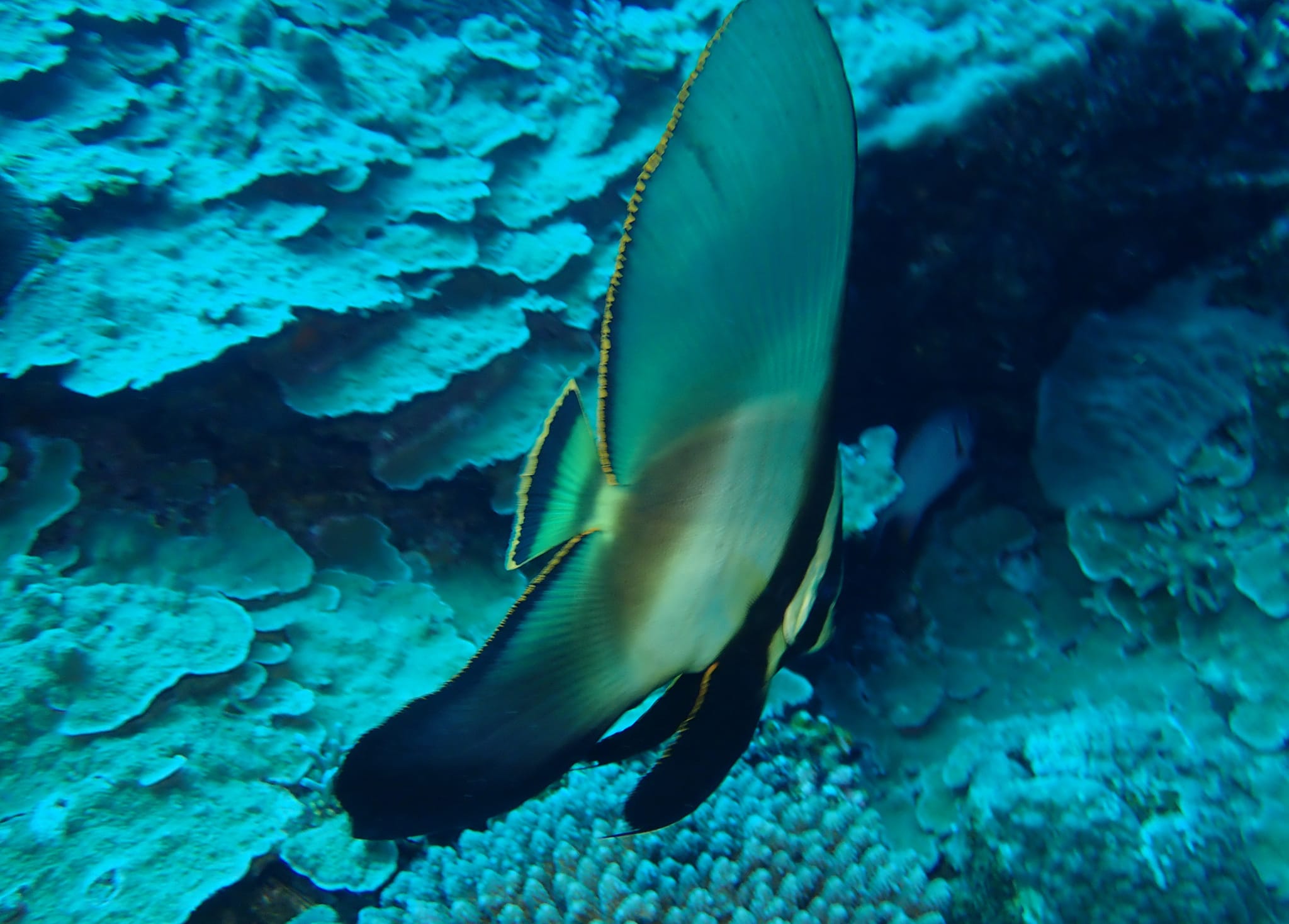 279399998_2556402227824616_2510471289446994768_n