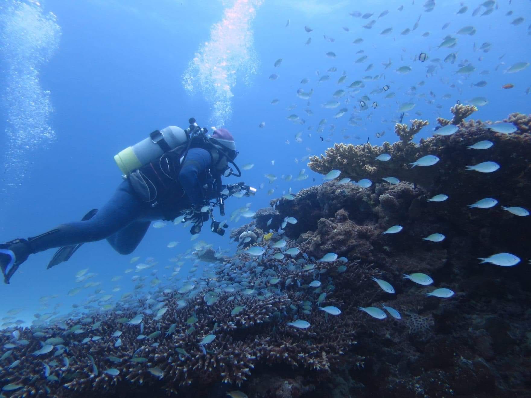 279437249_2560103734121132_7152173887503433690_n