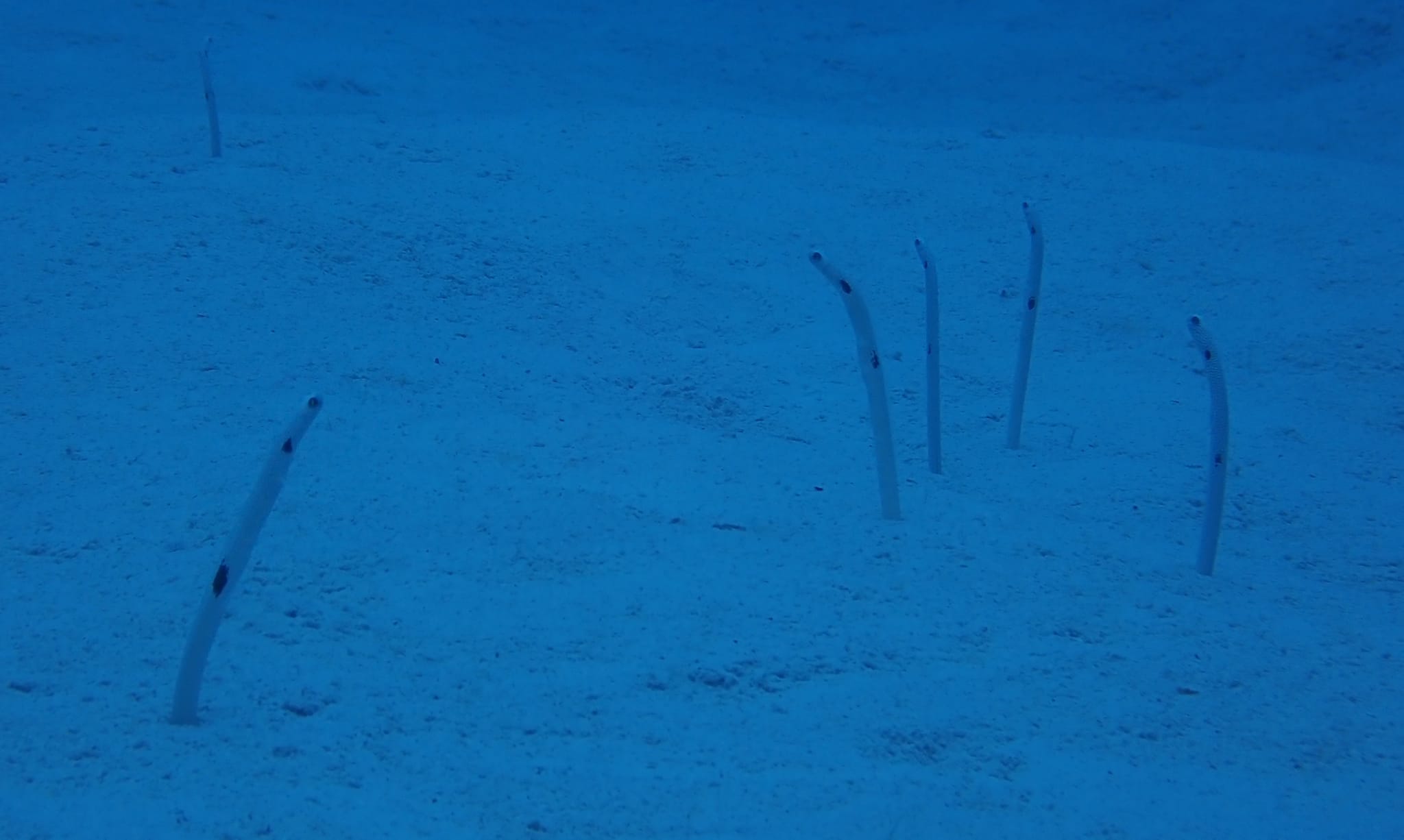 279438903_2556402314491274_7557633067280683670_n