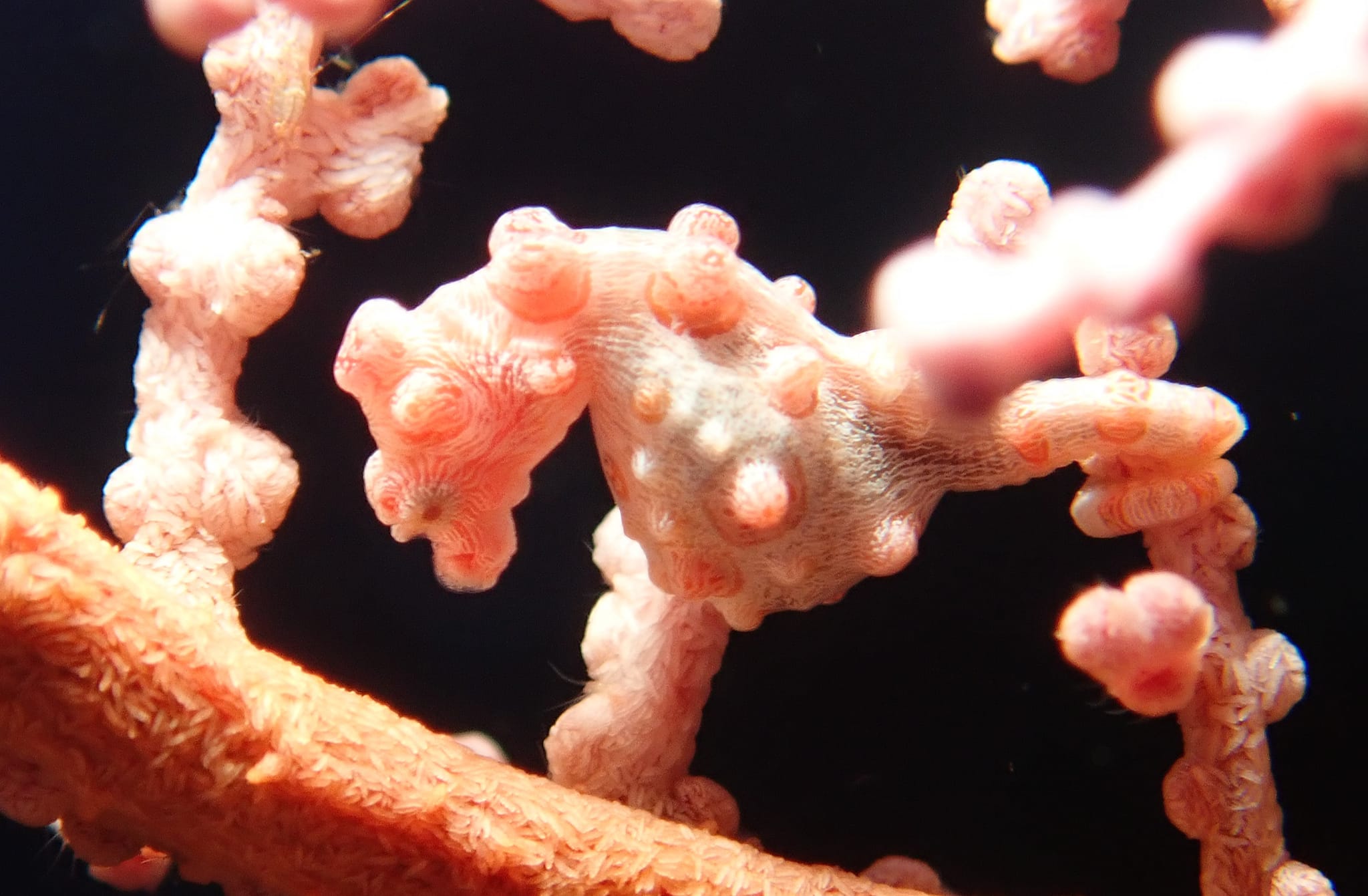 279459056_2559051520893020_6573916062222070134_n