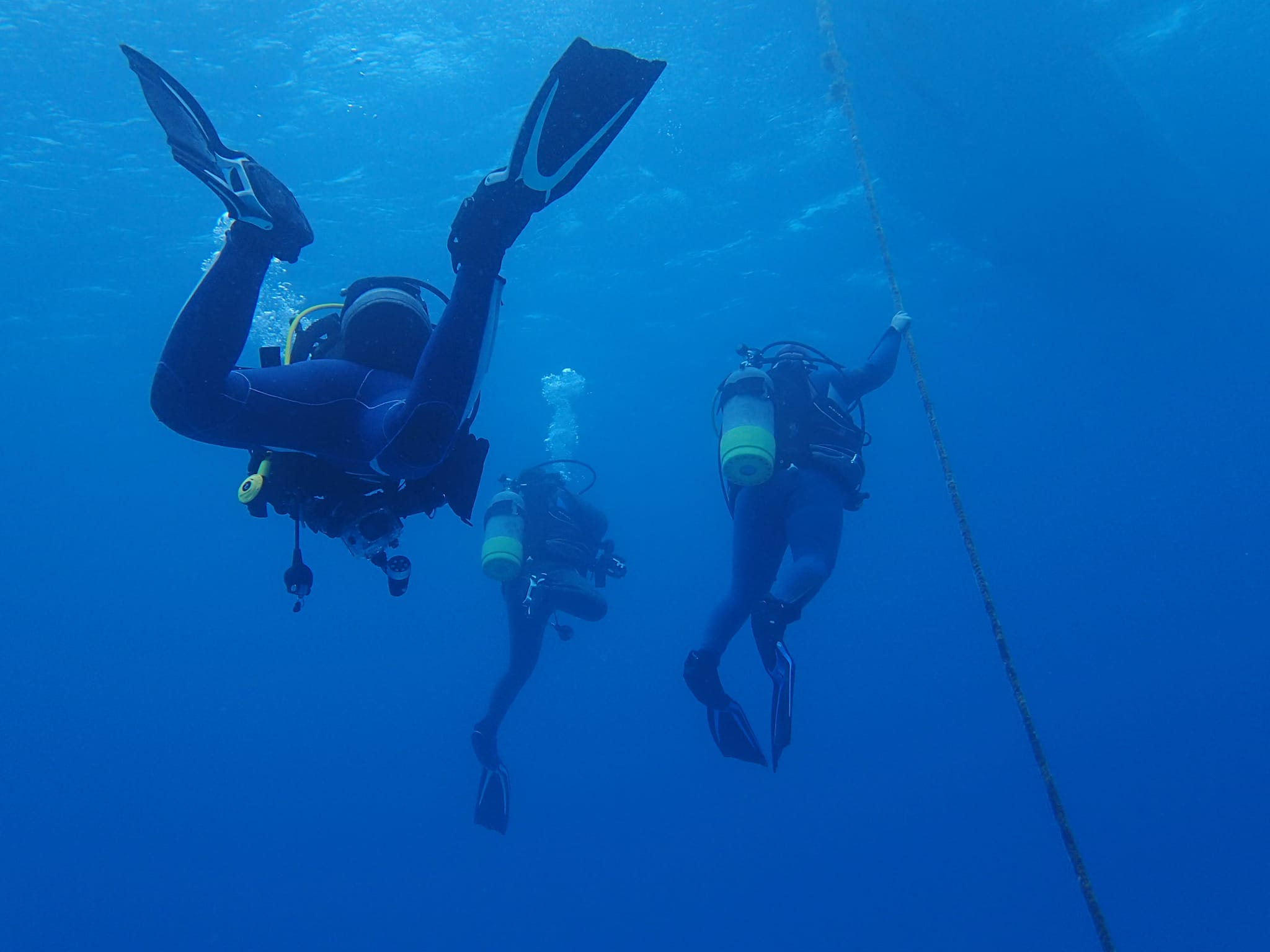 279758711_2560103774121128_6473546339713062383_n