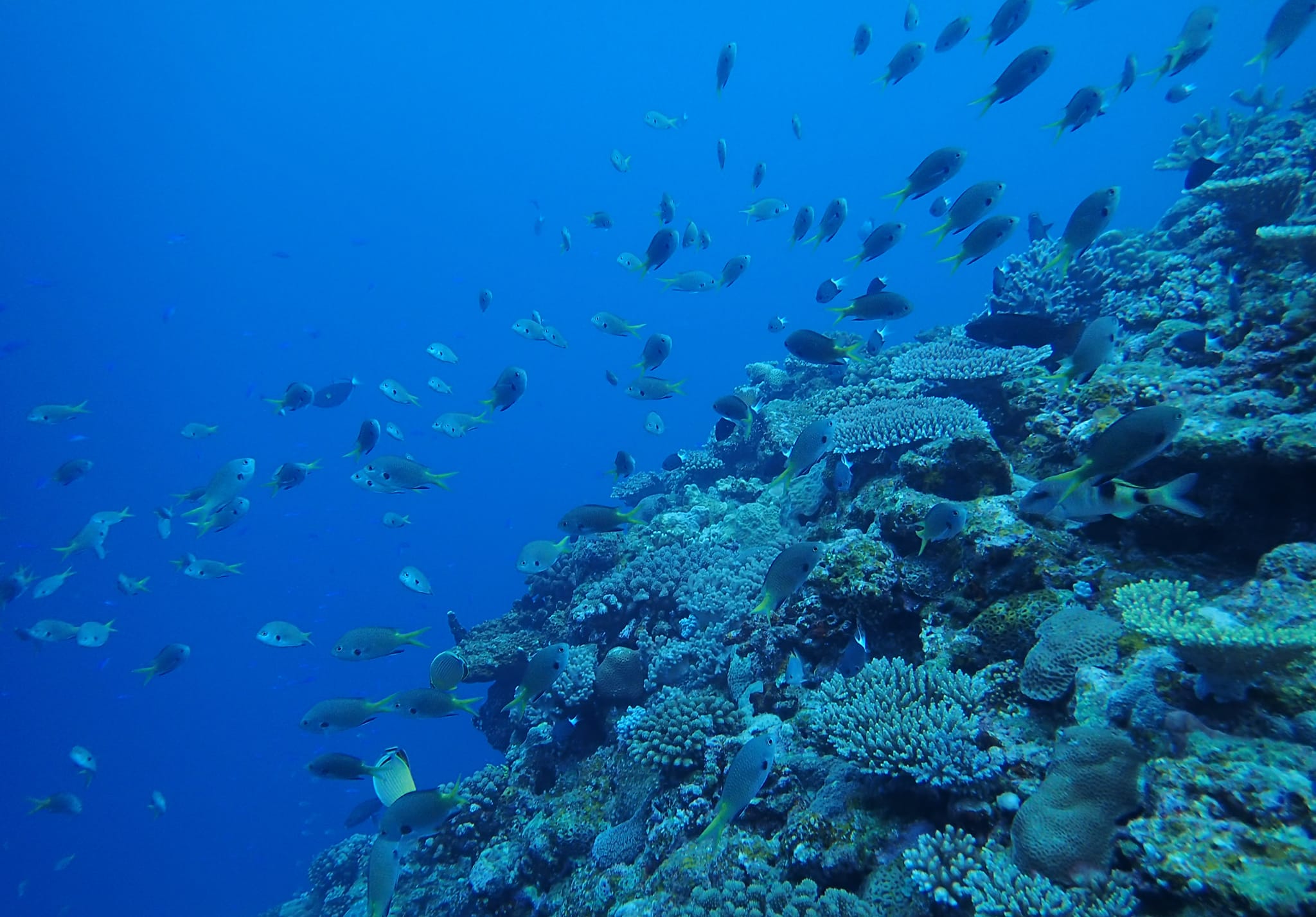 279891949_2559051570893015_7664929145384752010_n