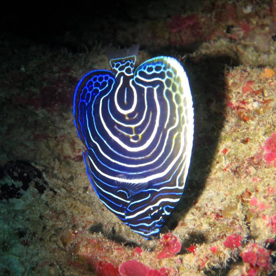 279943632_5100194930075349_1438819341742269487_n