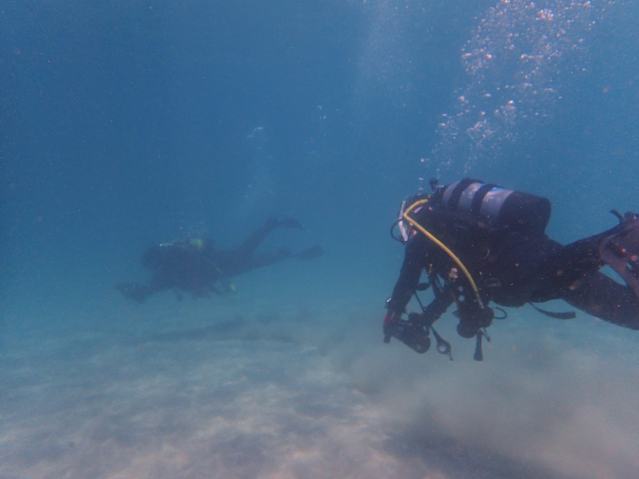 280074046_2567177876747051_2110913965218127774_n