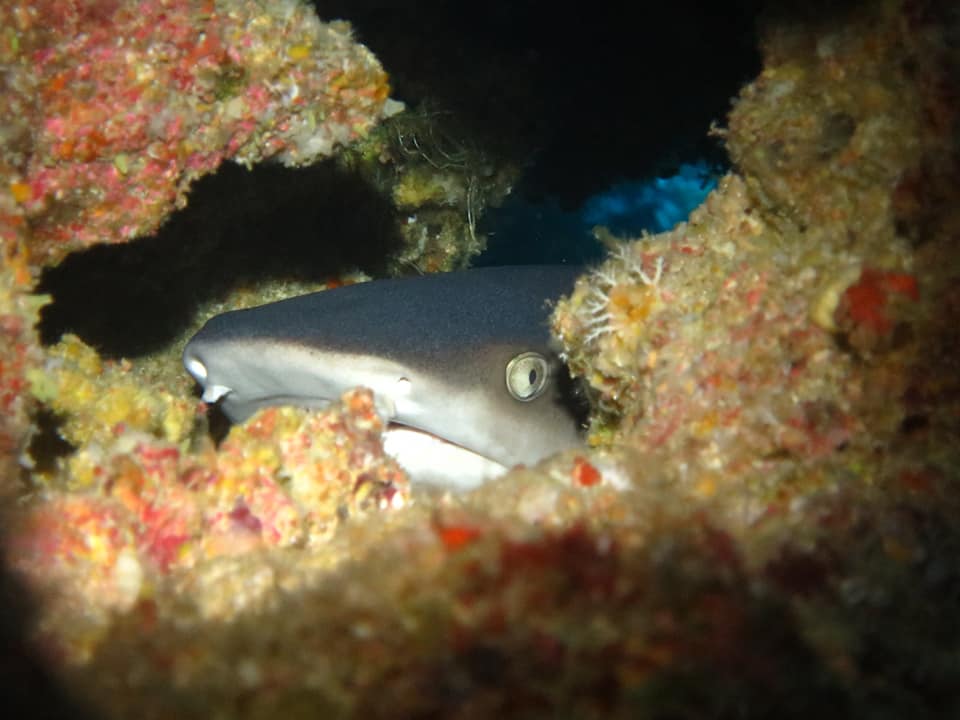 280102098_5100193513408824_8120577730250981783_n