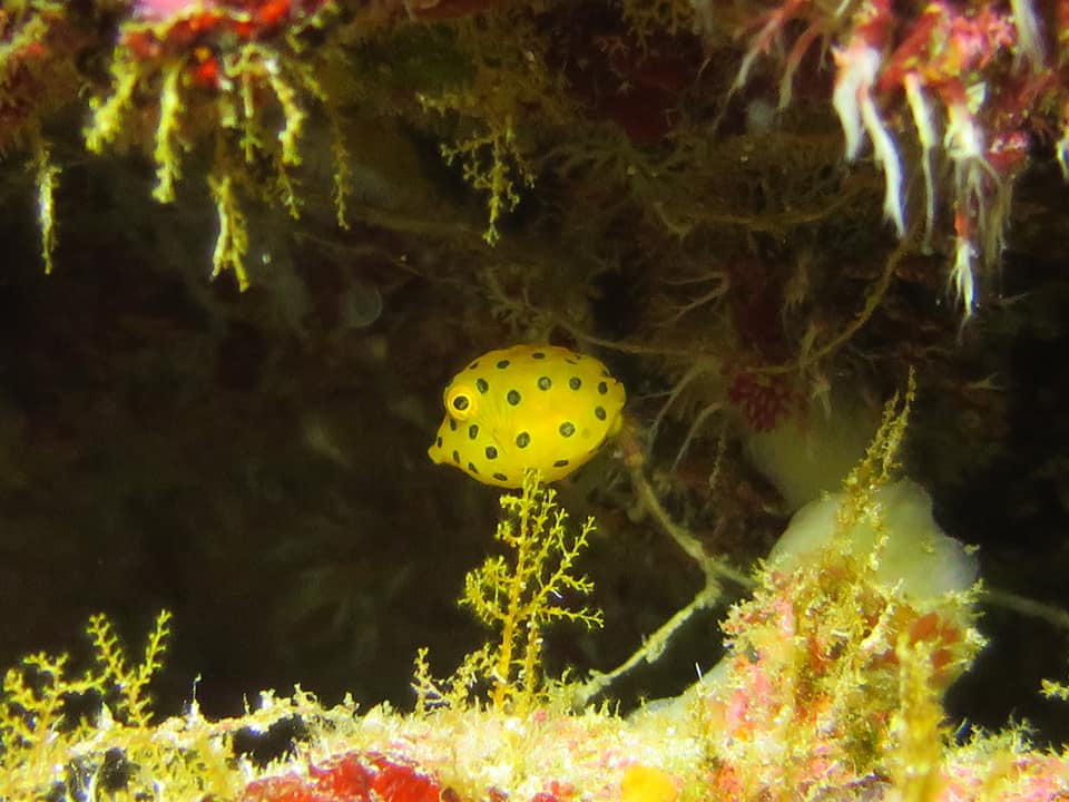 280112620_5100193626742146_6730005671763304268_n