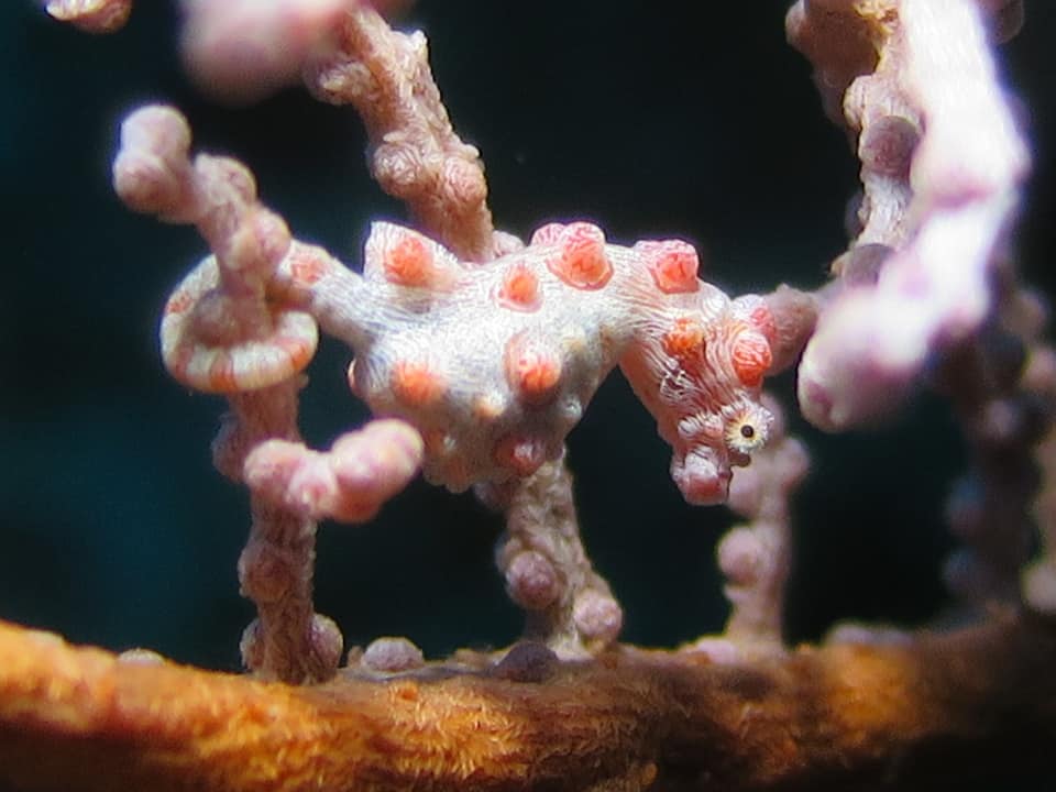 280112768_5100194210075421_7376181064403013621_n