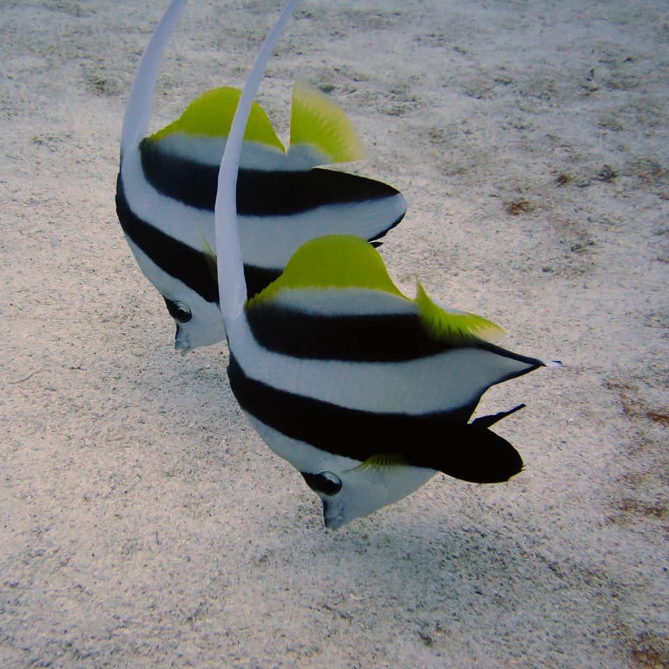 280117850_5100193150075527_1893959499160161586_n