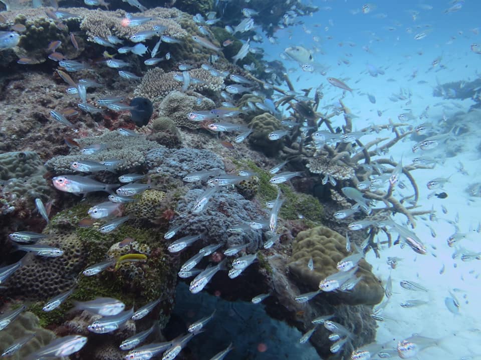 280120005_5100194786742030_911034232037582844_n