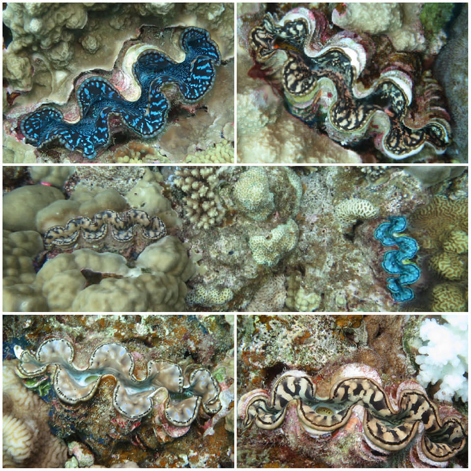 280123195_5100195673408608_3838662602695238361_n