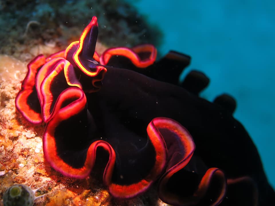 280134959_5100195296741979_428696040926779849_n