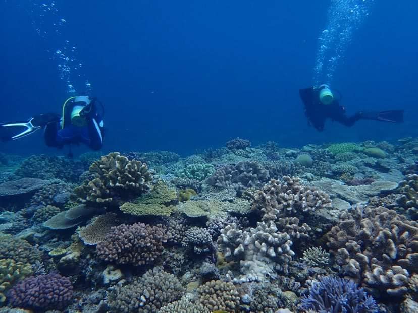 280143368_2560103434121162_8696247053224825070_n