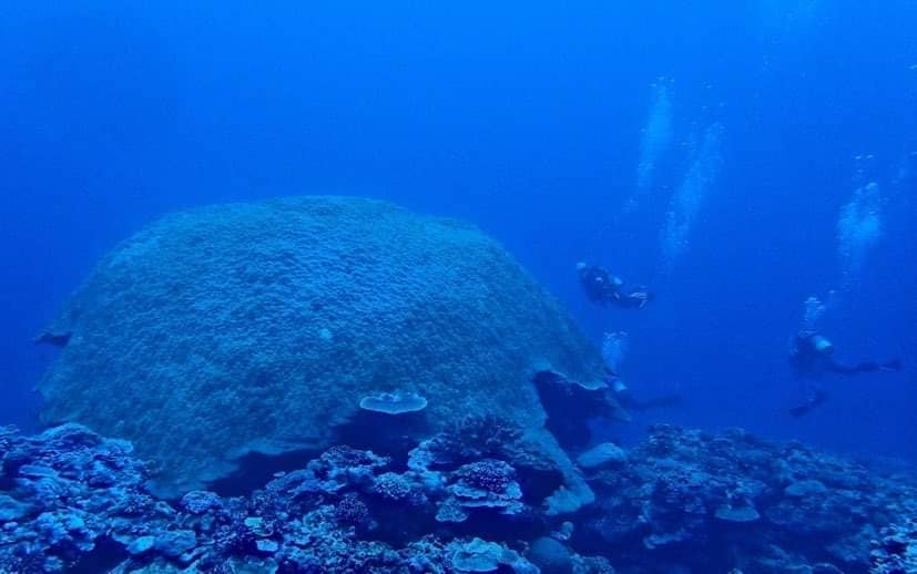 280145833_5100195873408588_7946652123086386947_n