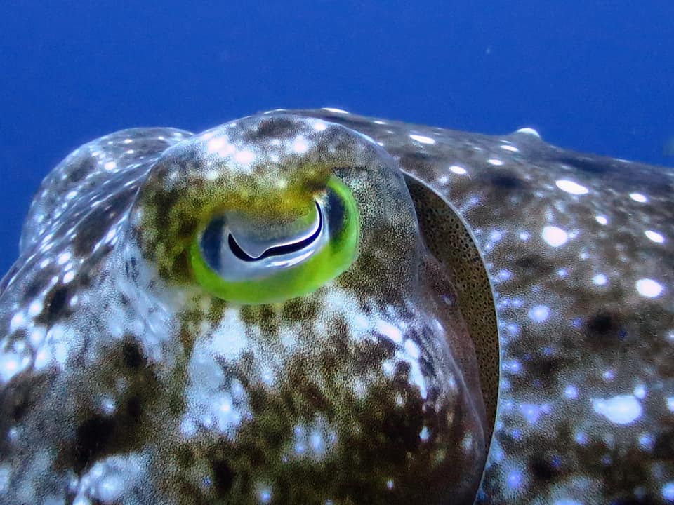 280216733_5100194106742098_384316500799653069_n