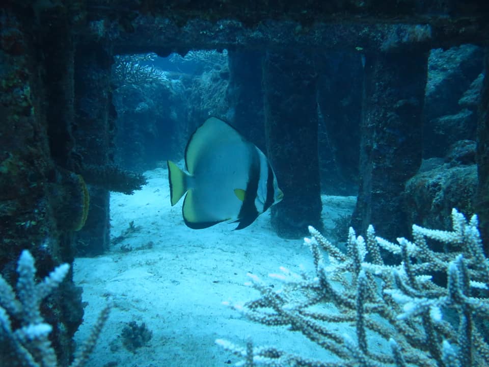 280226489_5100192900075552_7490048925347488815_n