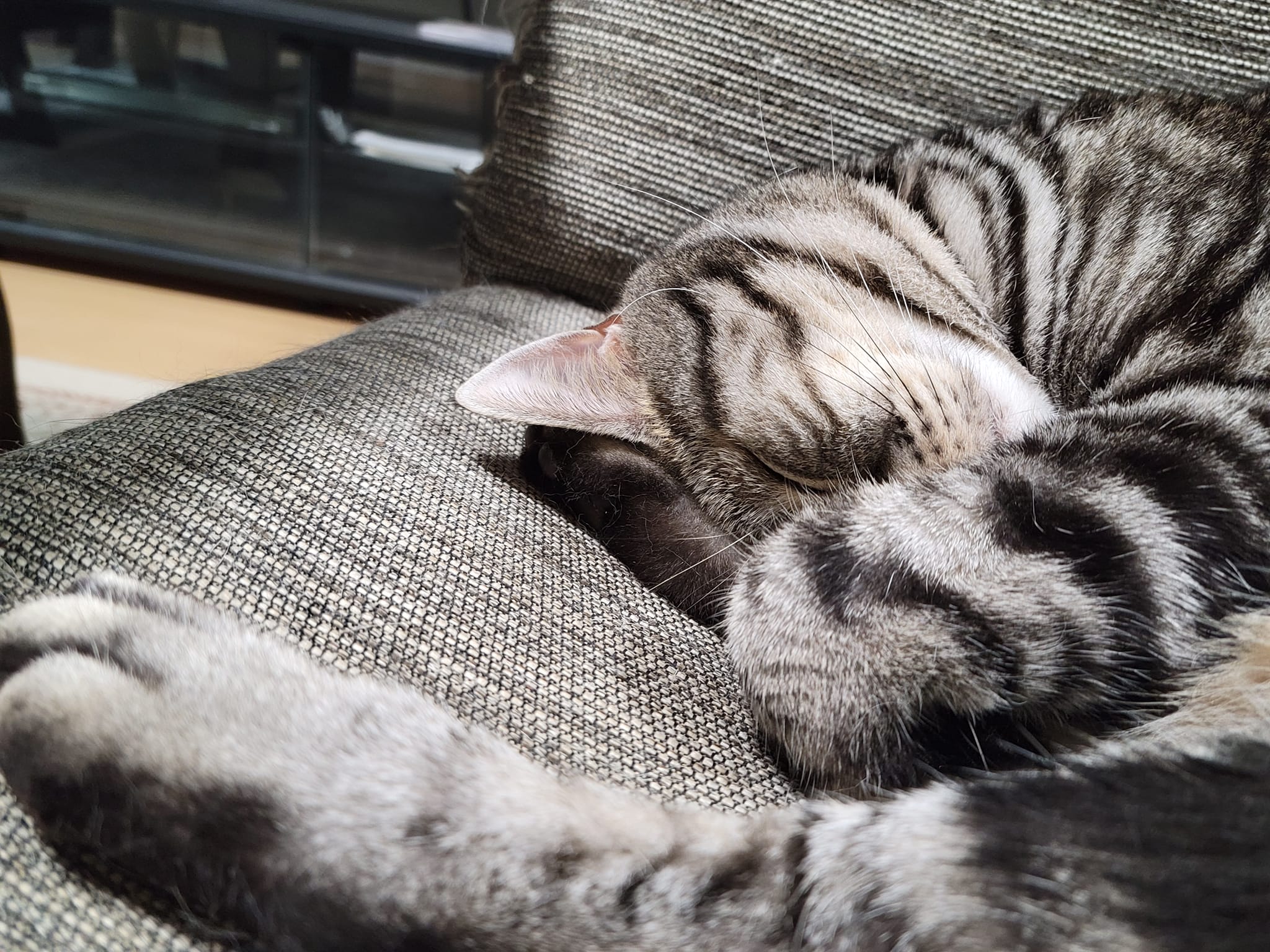 283475039_2586085971522908_7470957865851478823_n