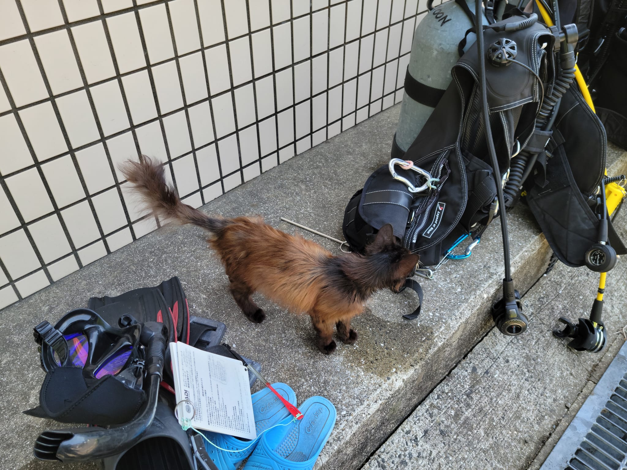 288982129_2597187550412750_2286361652653367444_n