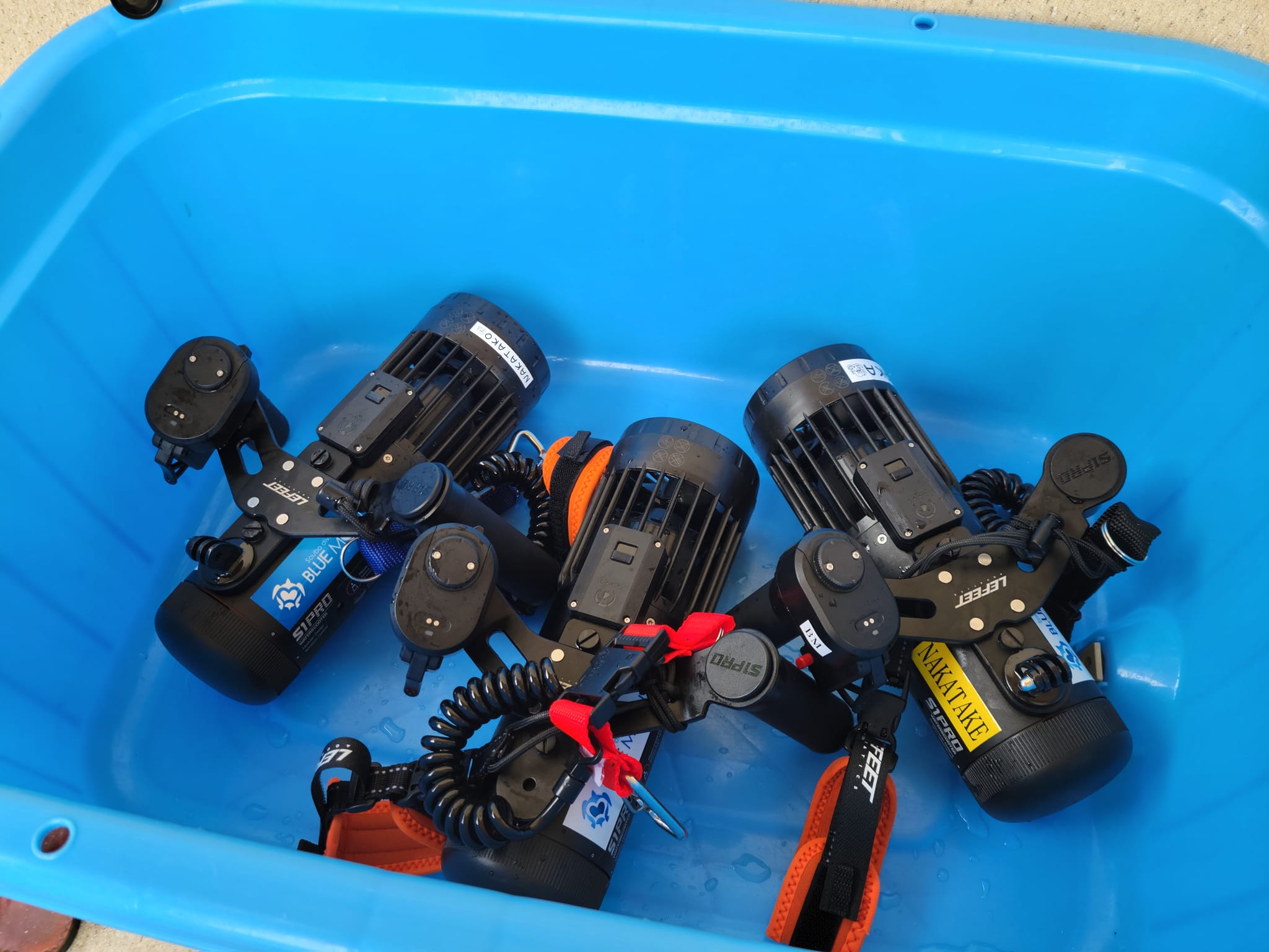 291824843_2609466182518220_9056700122410964248_n