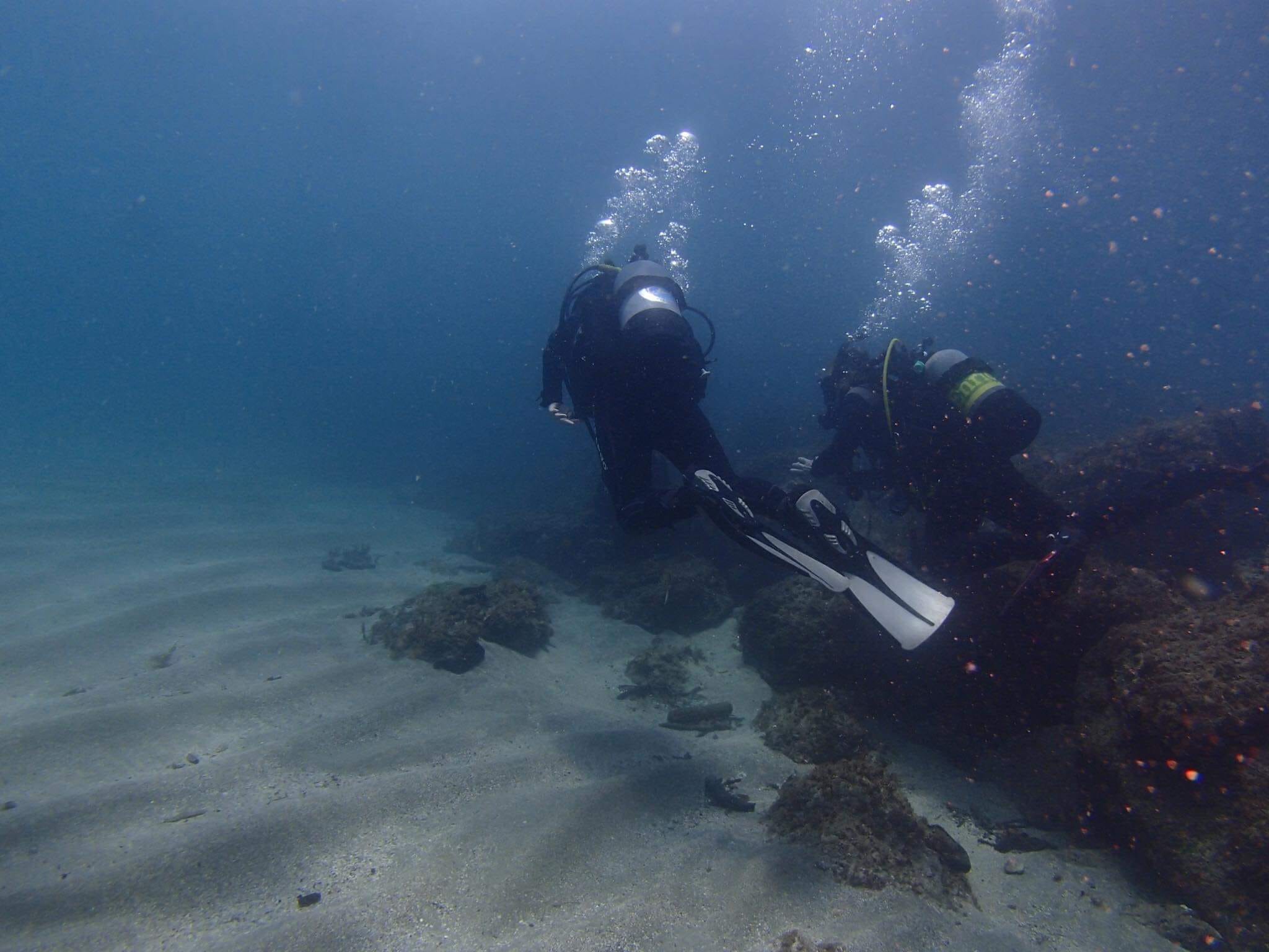 292808252_2615221445276027_4289940133531995262_n