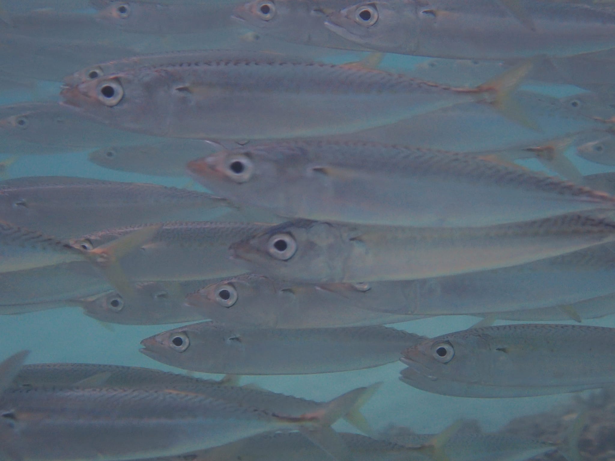 294130457_2621247171340121_4988036714181431650_n