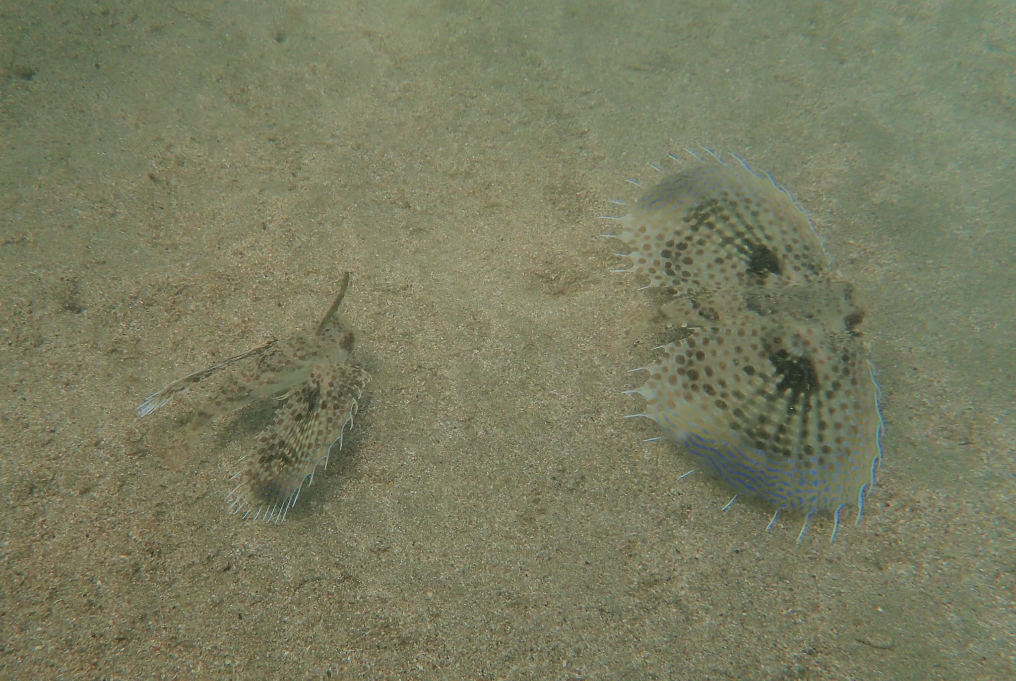 294166739_2621247614673410_8650415333487121986_n