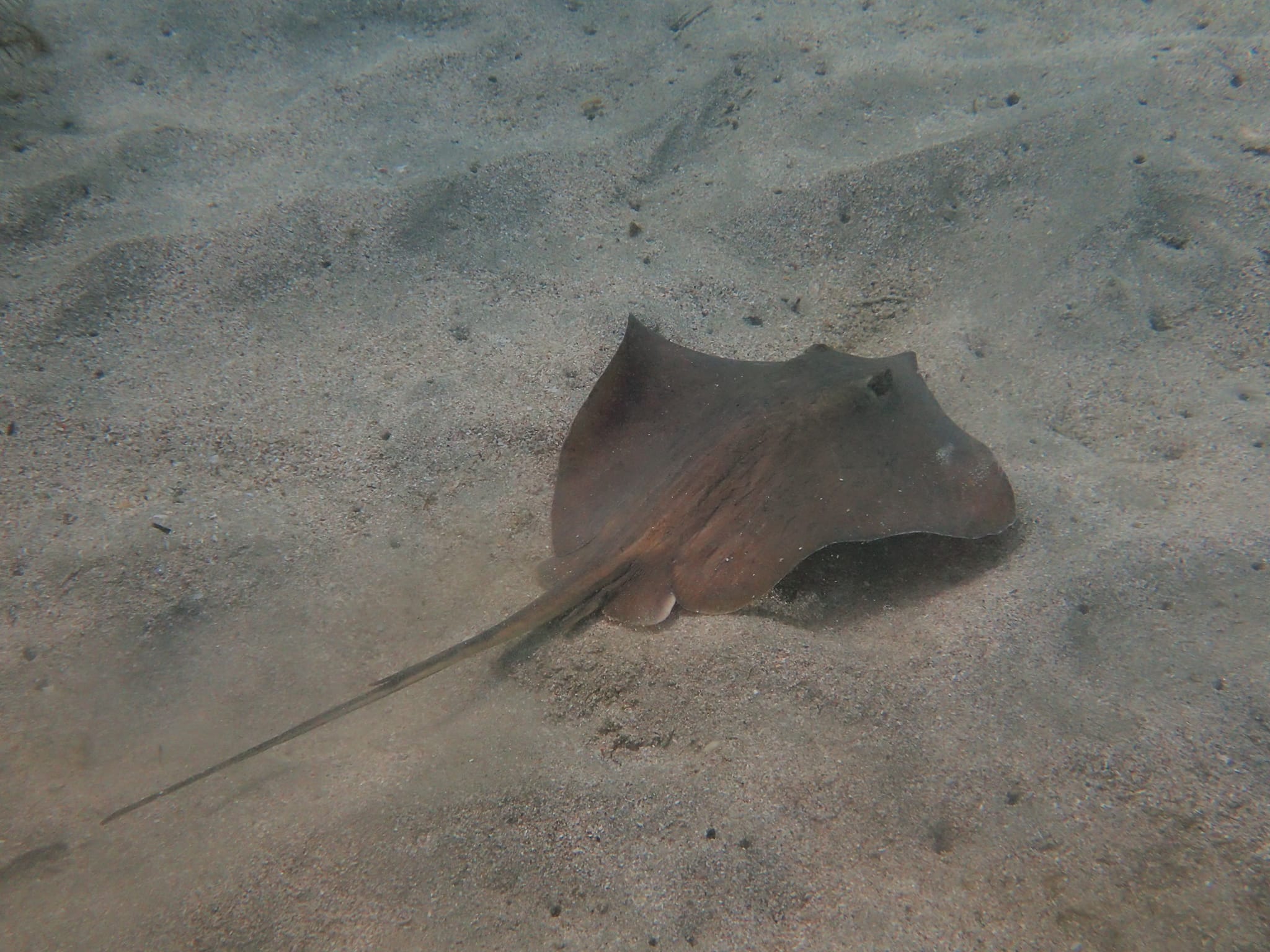 294384373_2621247418006763_271482688594486376_n