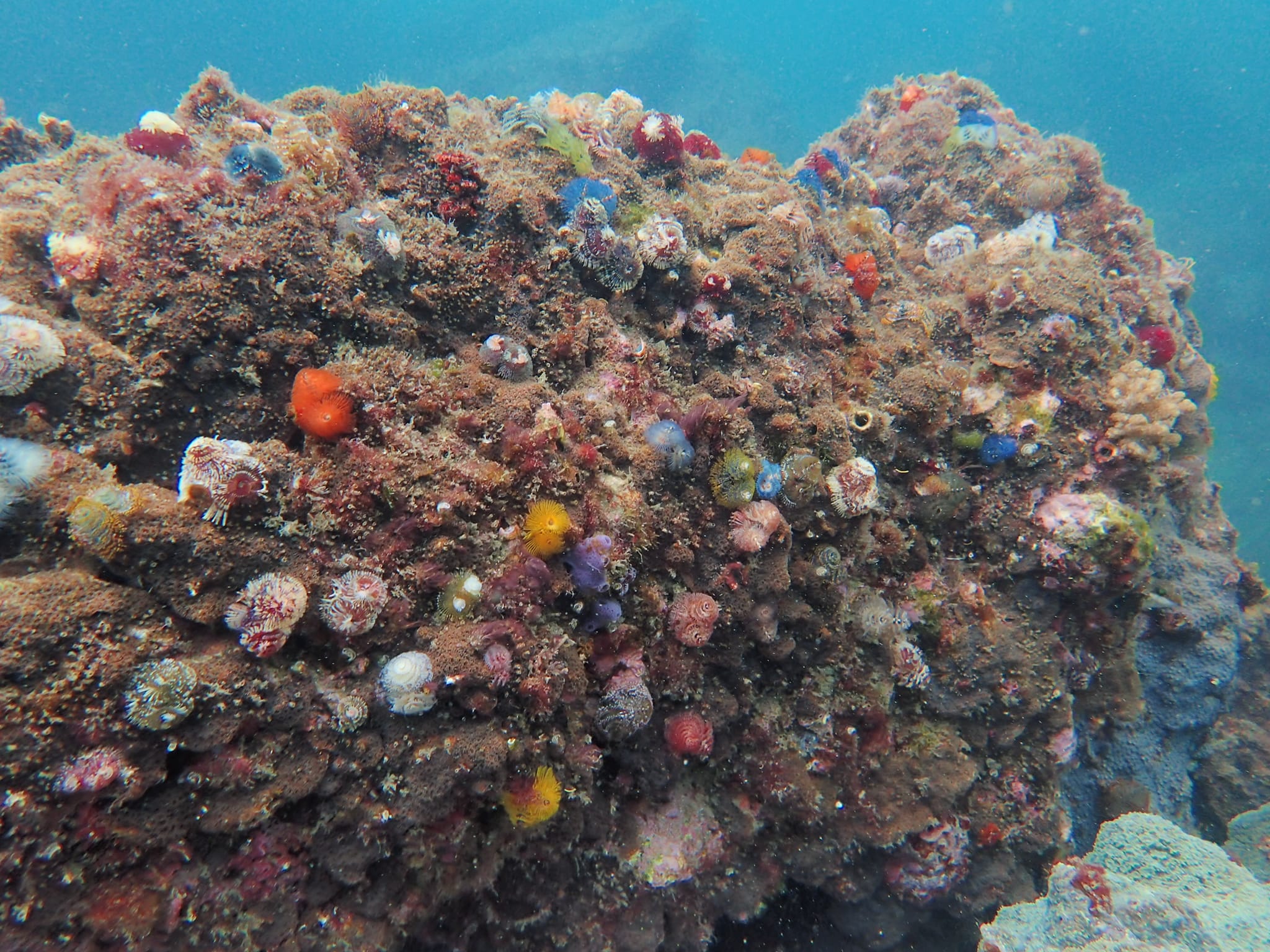 294489078_2622158607915644_2560566681057751545_n