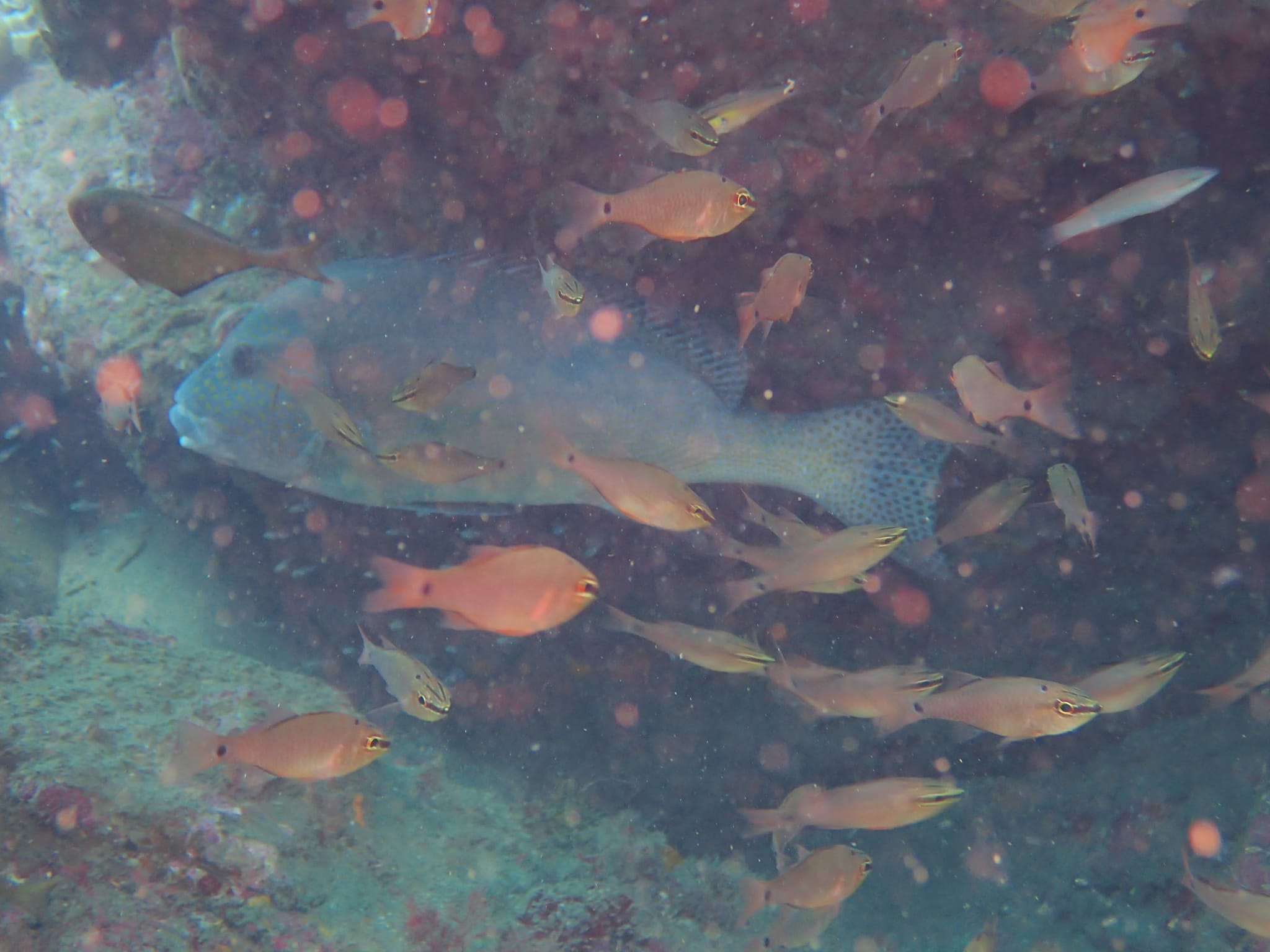 295348399_2627202534077918_3451496106601260334_n