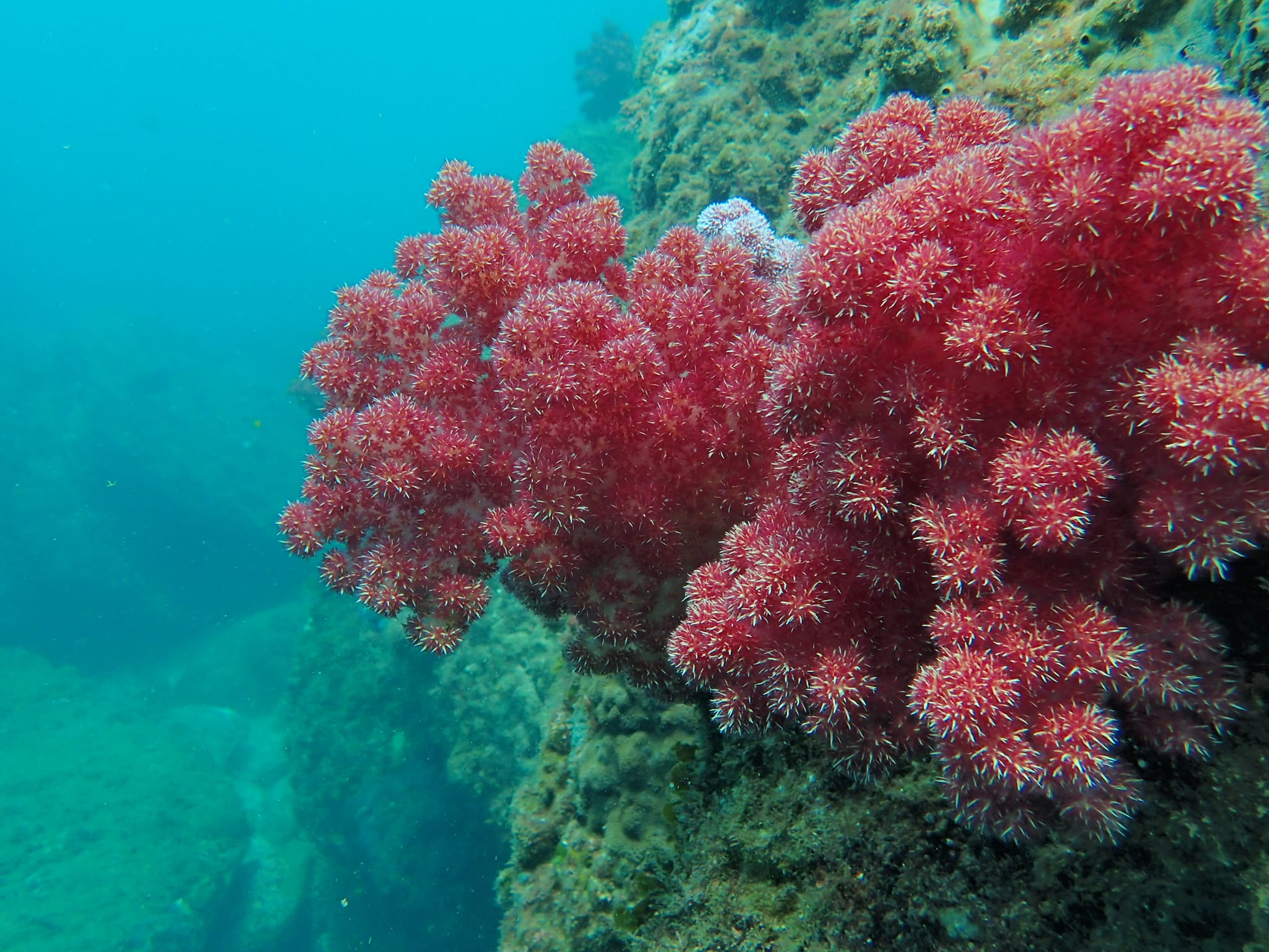 295510268_2627202507411254_2807814444420840450_n