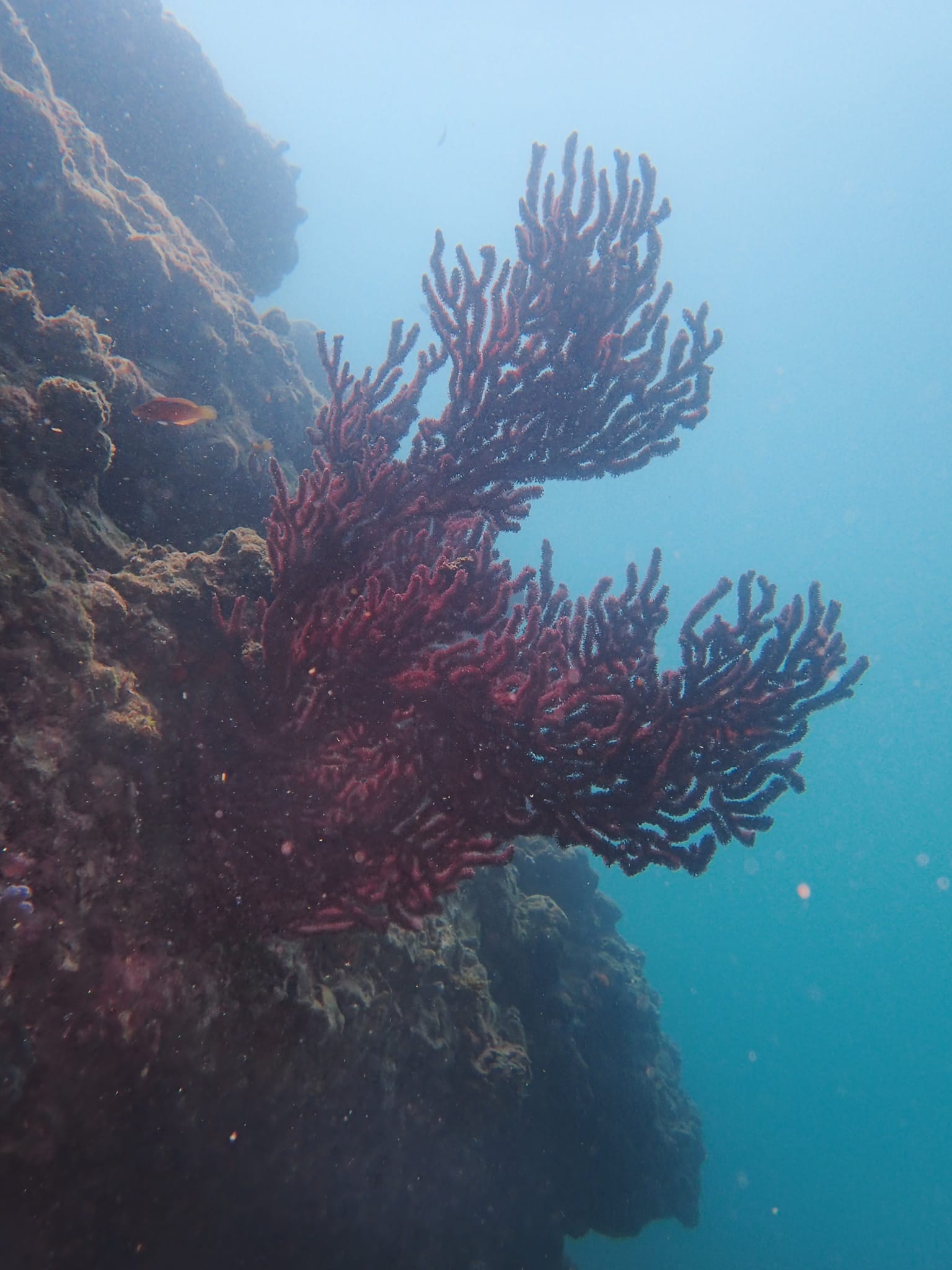 295530986_2627202490744589_3120211658681586445_n