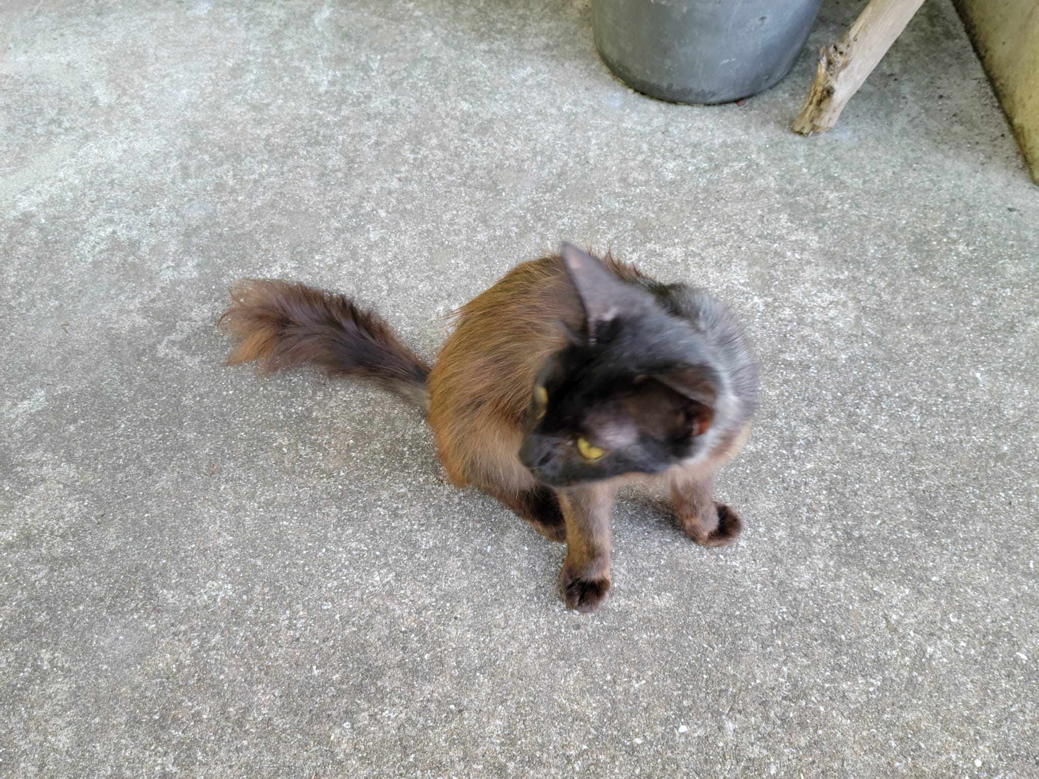 295841199_2629558213842350_5350906549235299808_n