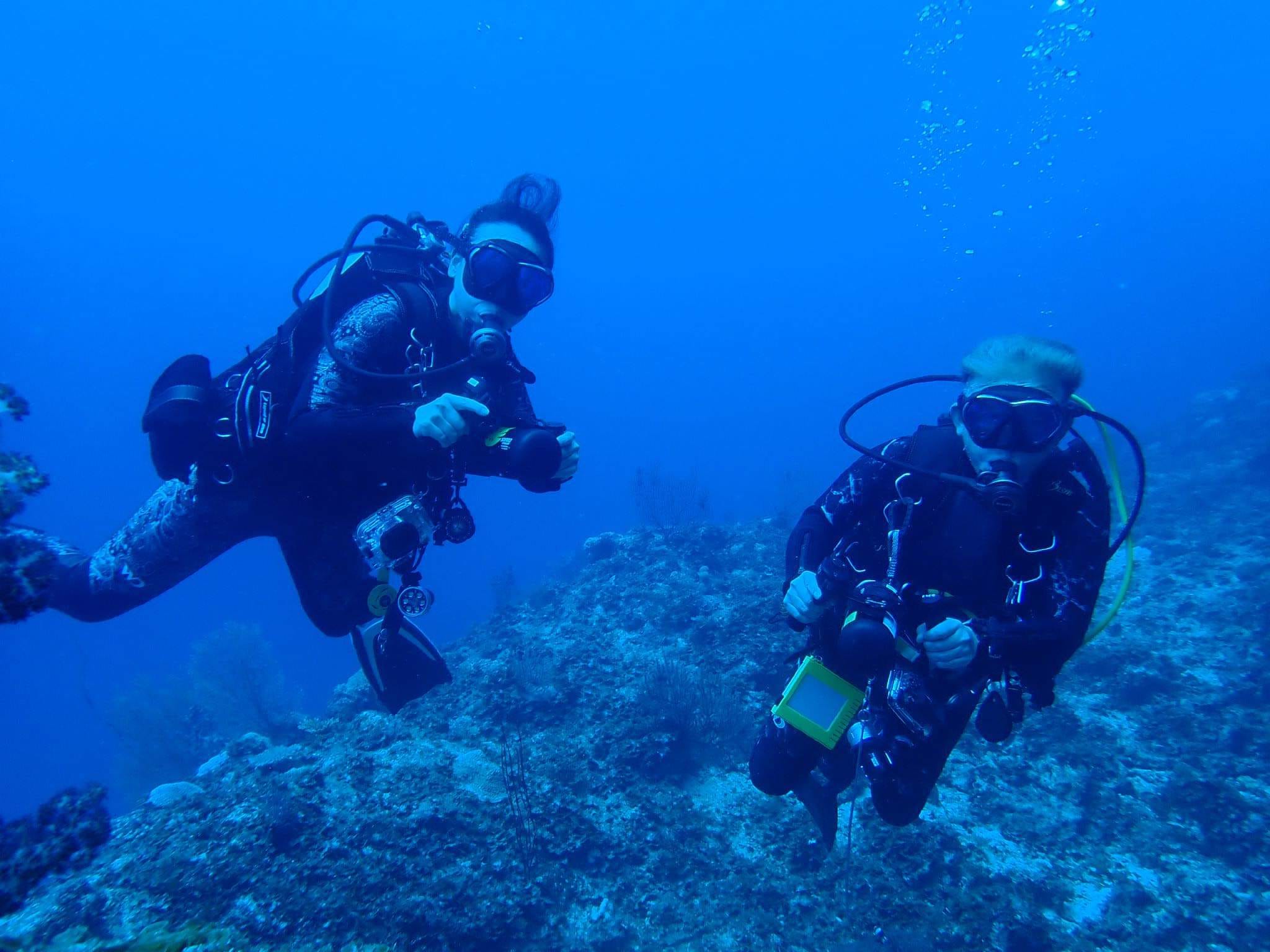 298280639_2640645116066993_408865909963665636_n