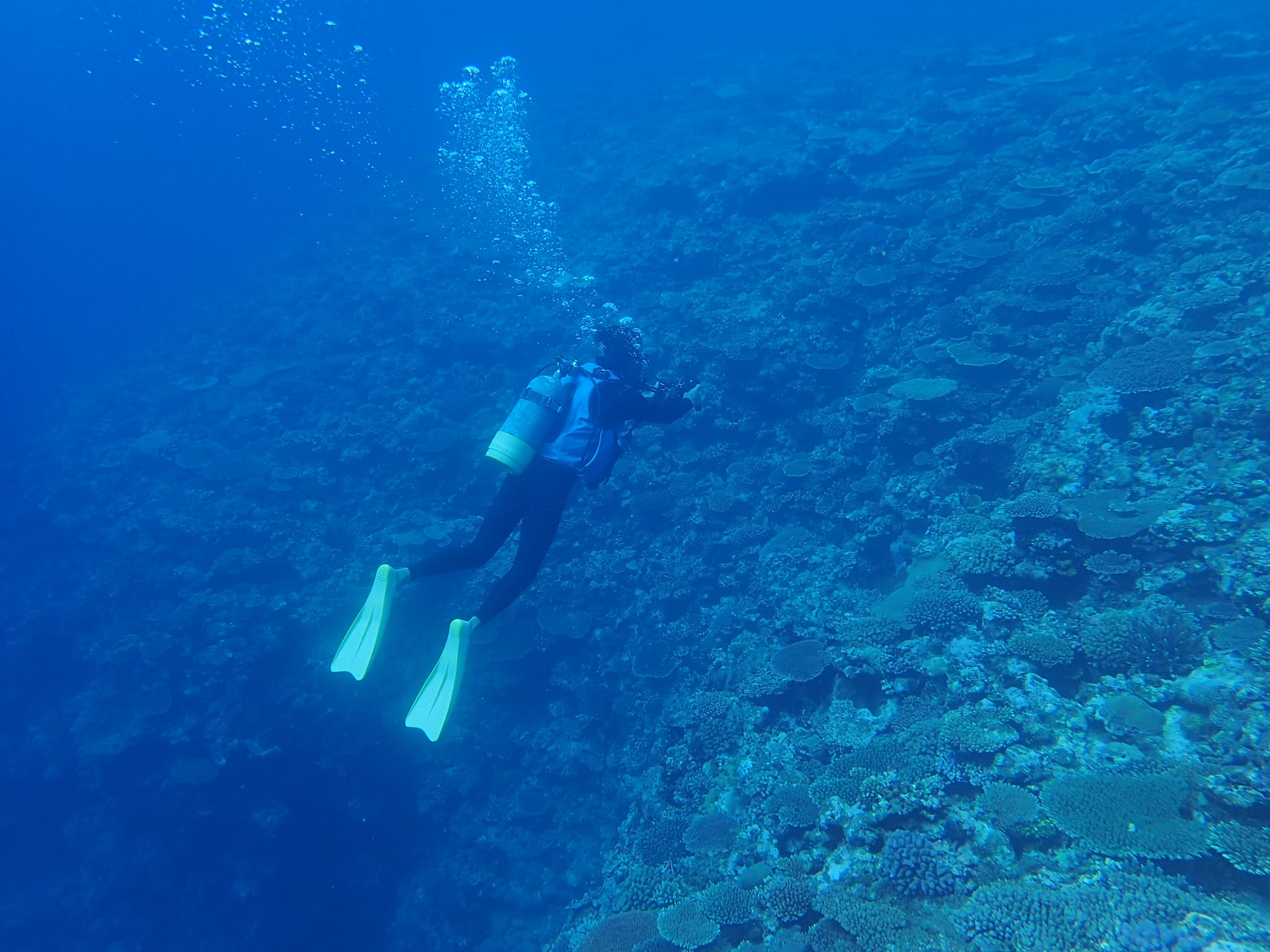 298285496_2640619996069505_7086407368970416236_n