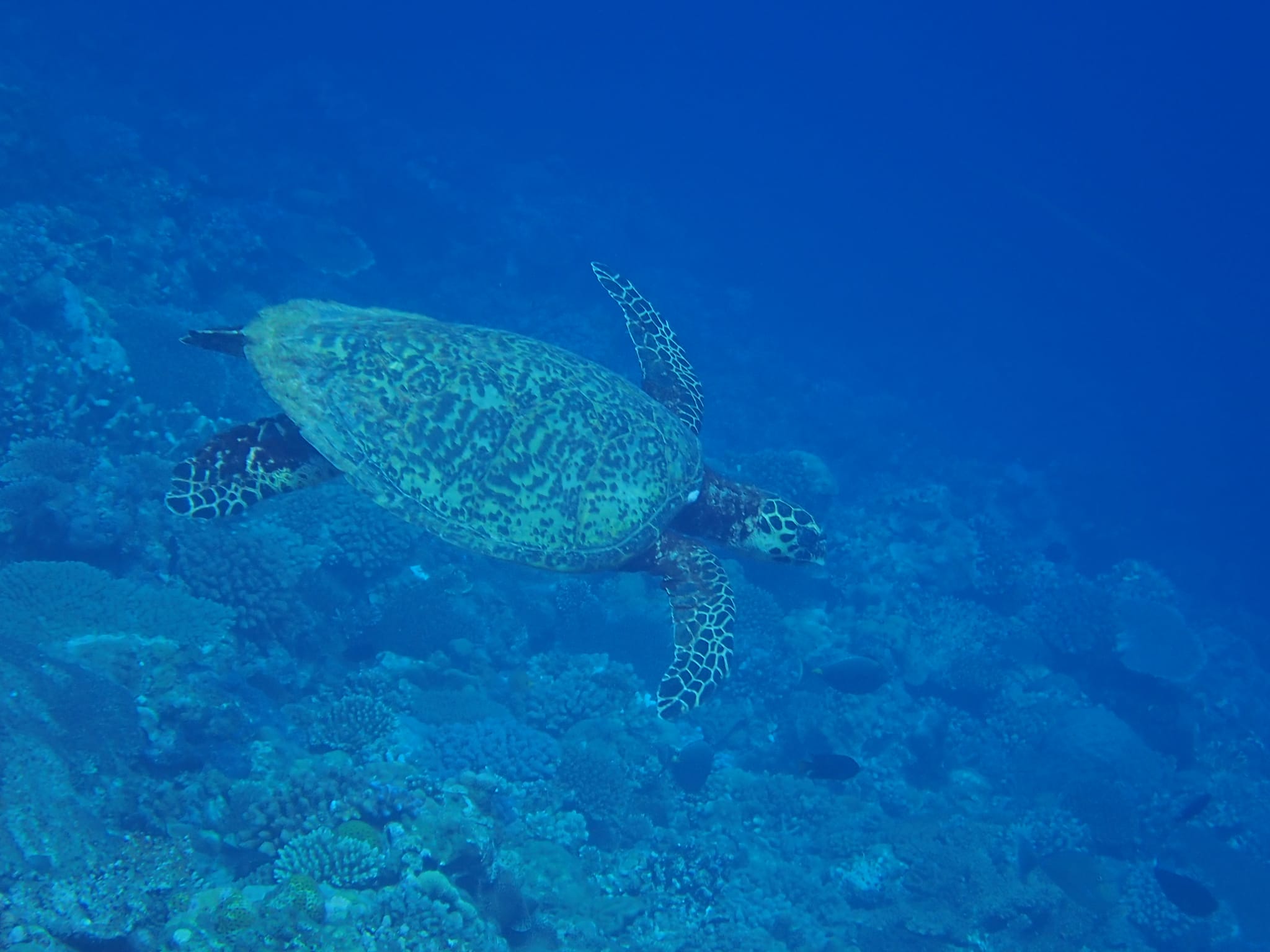 298499640_2641307782667393_1447998763327882548_n