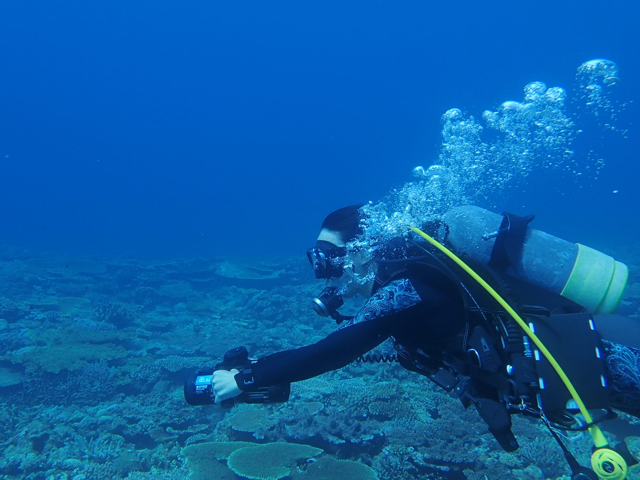 298753909_2640619959402842_5495651208035216598_n