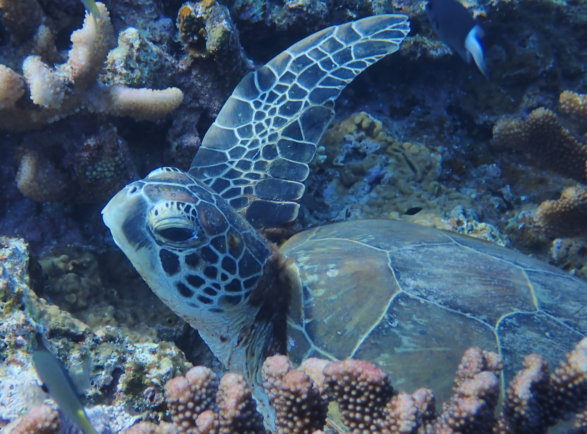 298757478_2642156789249159_3785074798890845291_n