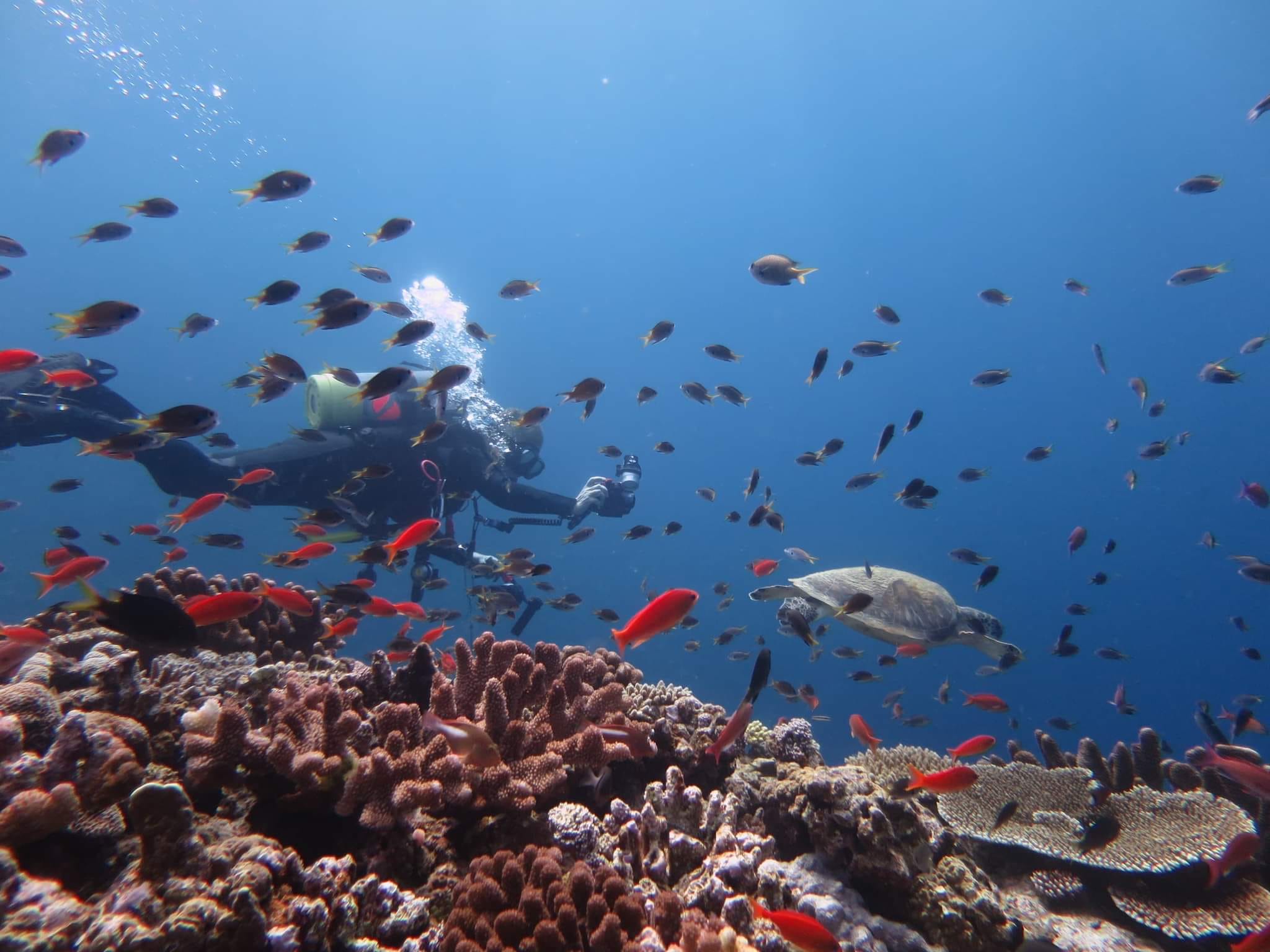 298919418_2642157705915734_4793906095662585093_n